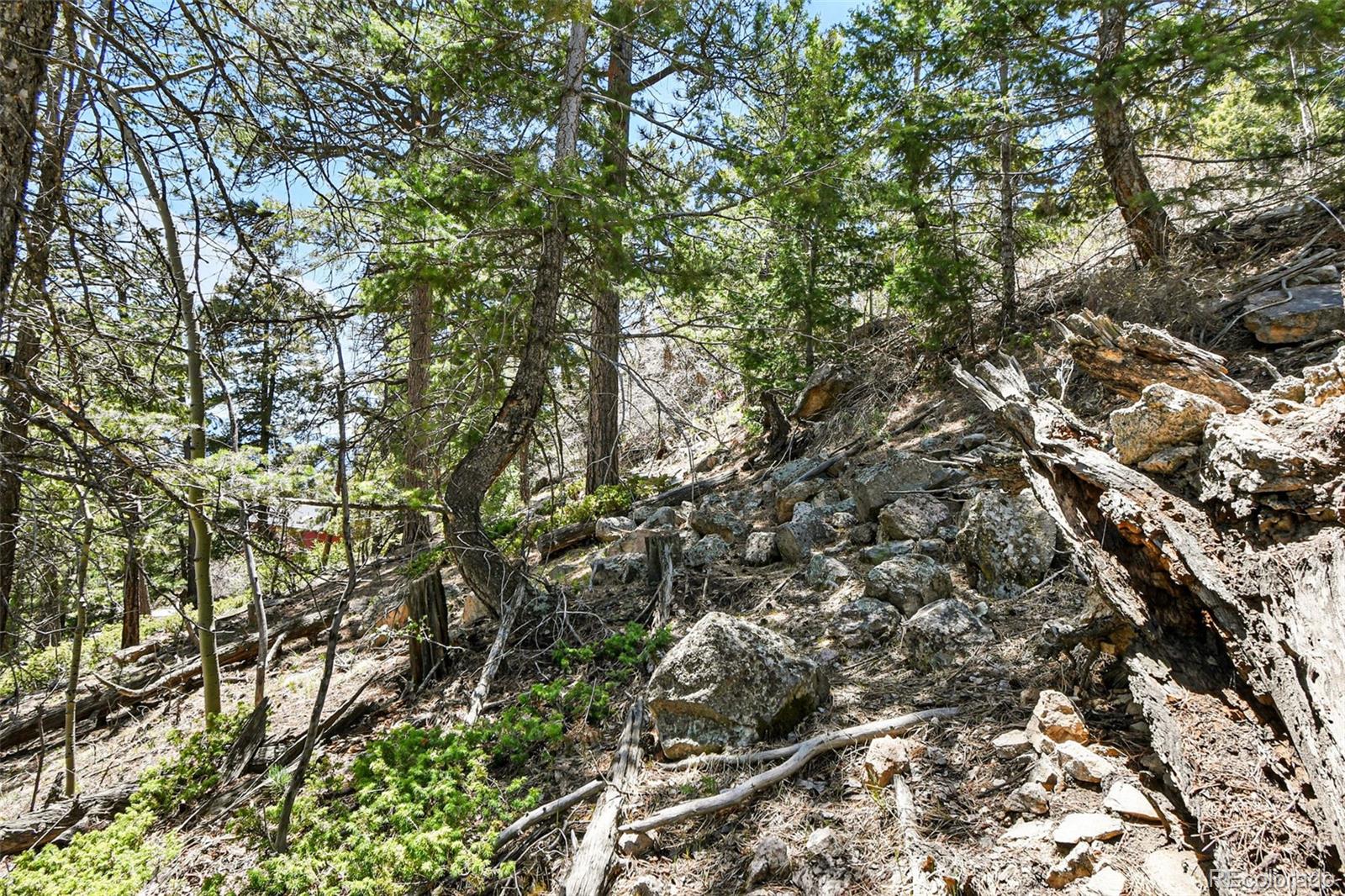 11618 Nichols Way Conifer CO 80433