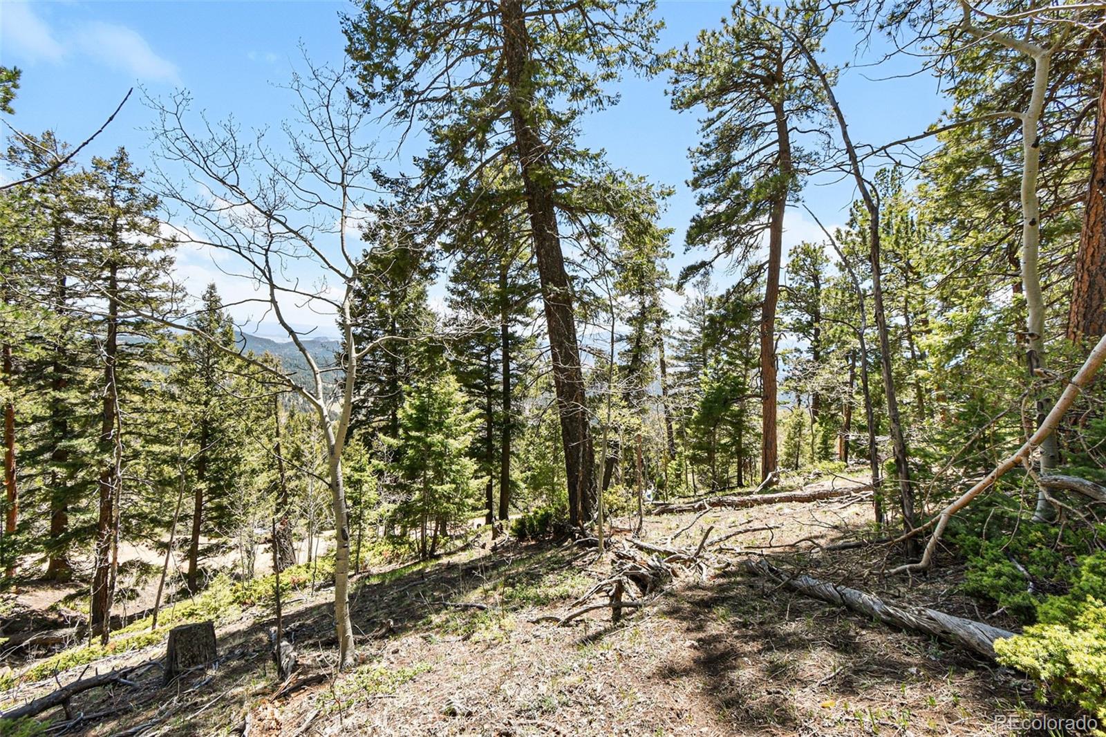 11618 Nichols Way Conifer CO 80433