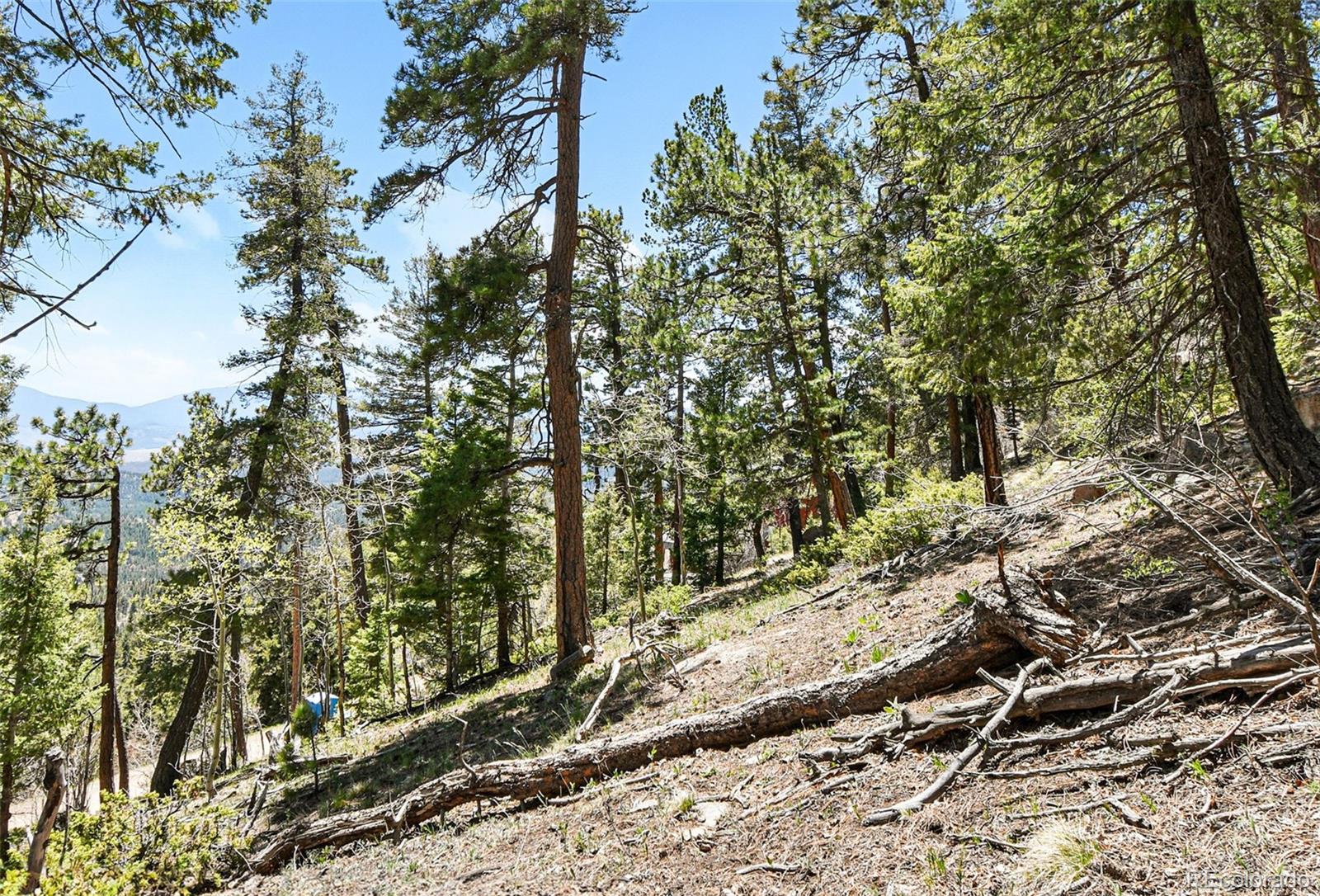 11618 Nichols Way Conifer CO 80433