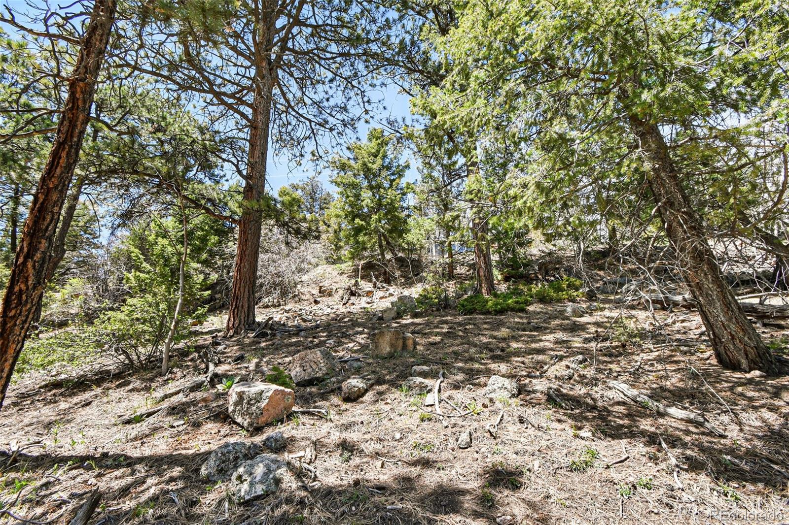 11618 Nichols Way Conifer CO 80433