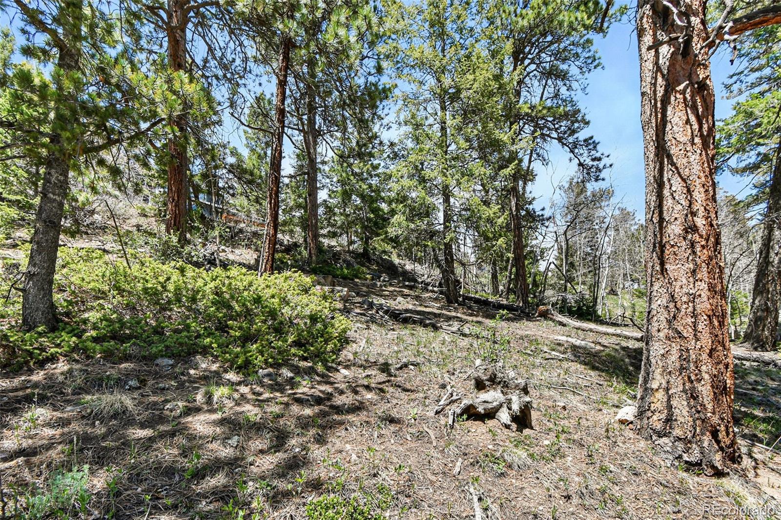 11618 Nichols Way Conifer CO 80433