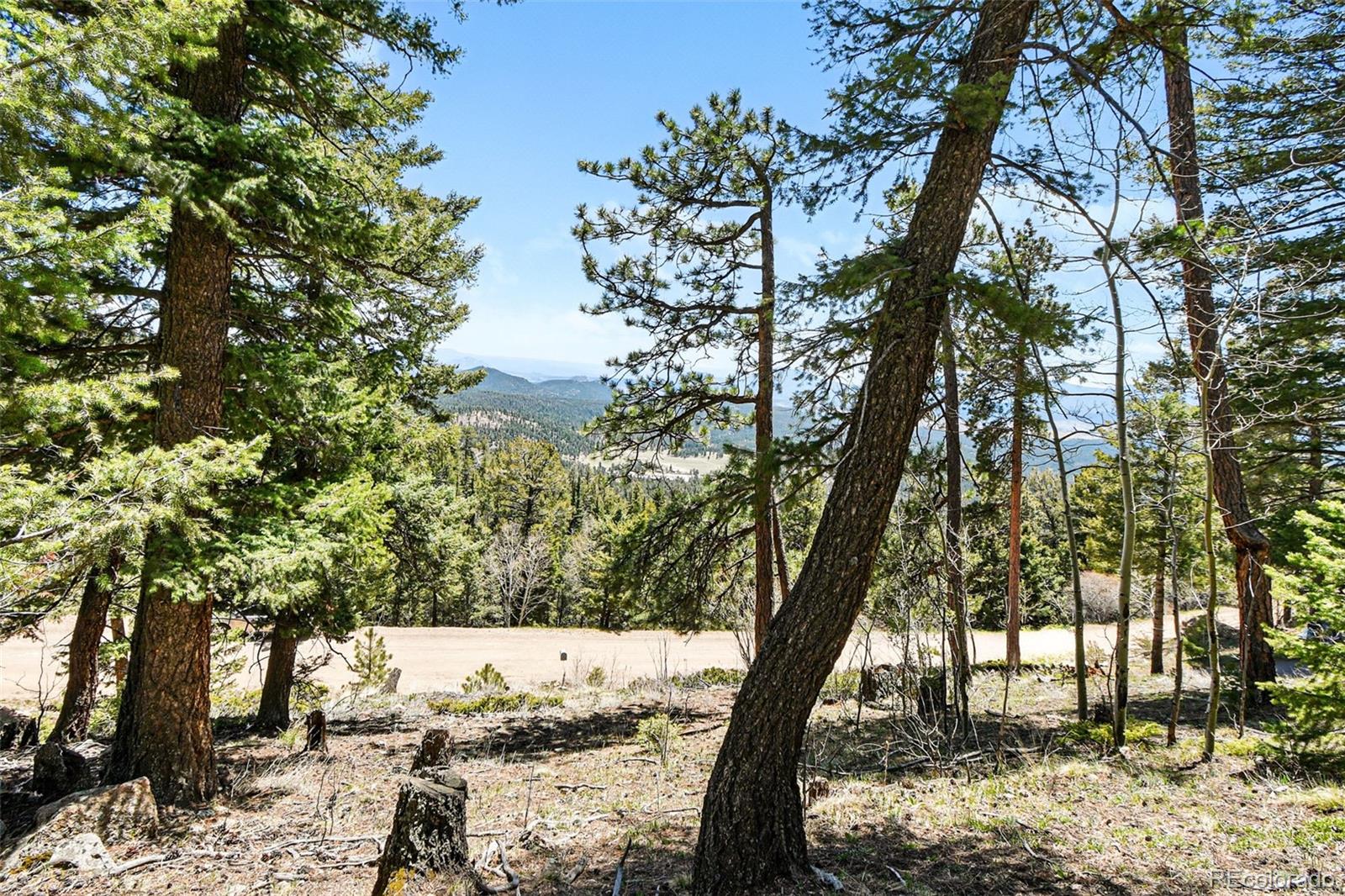 11618 Nichols Way Conifer CO 80433