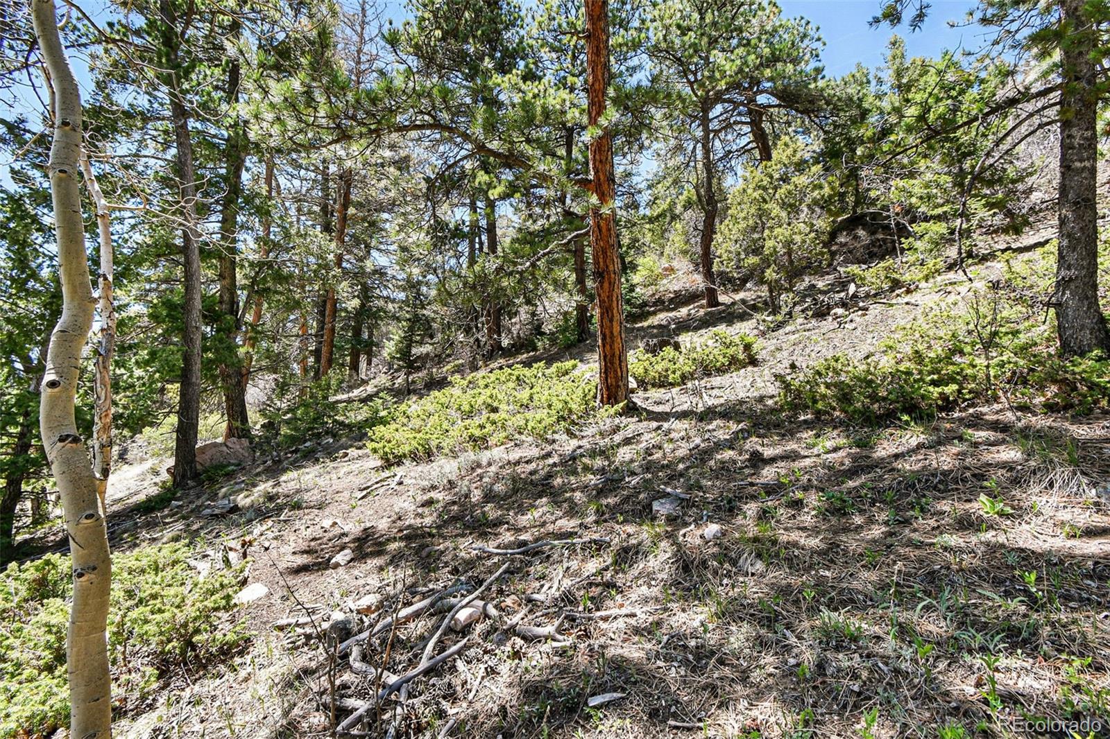 11618 Nichols Way Conifer CO 80433