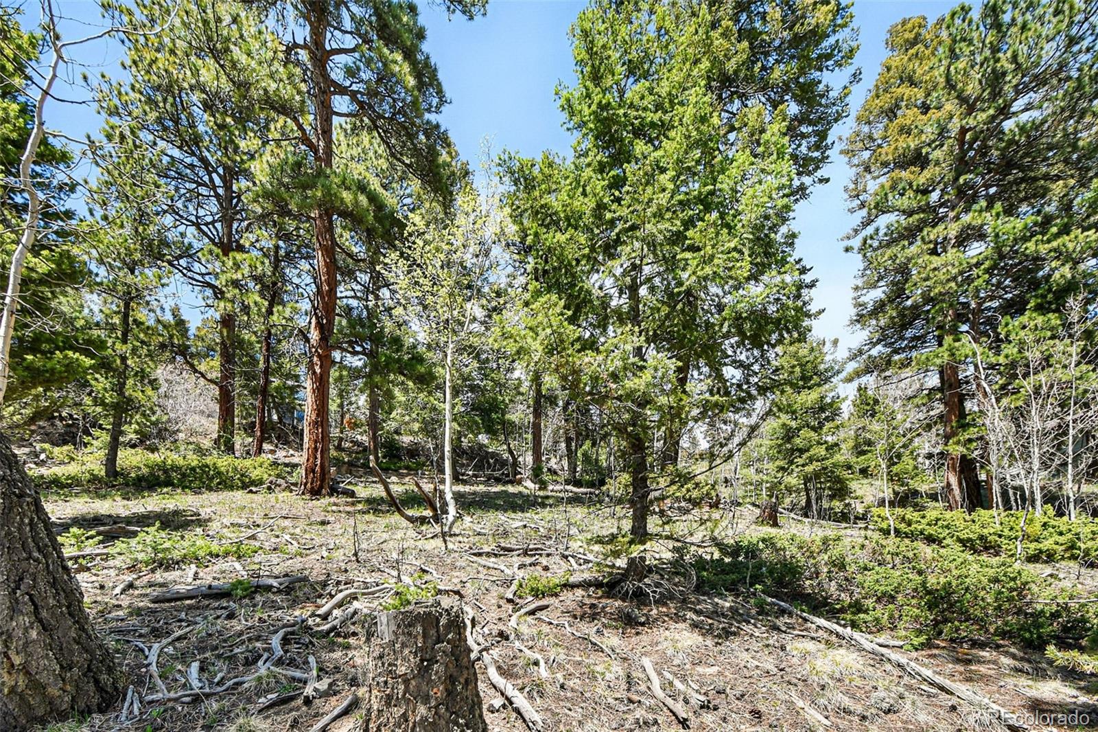11618 Nichols Way Conifer CO 80433
