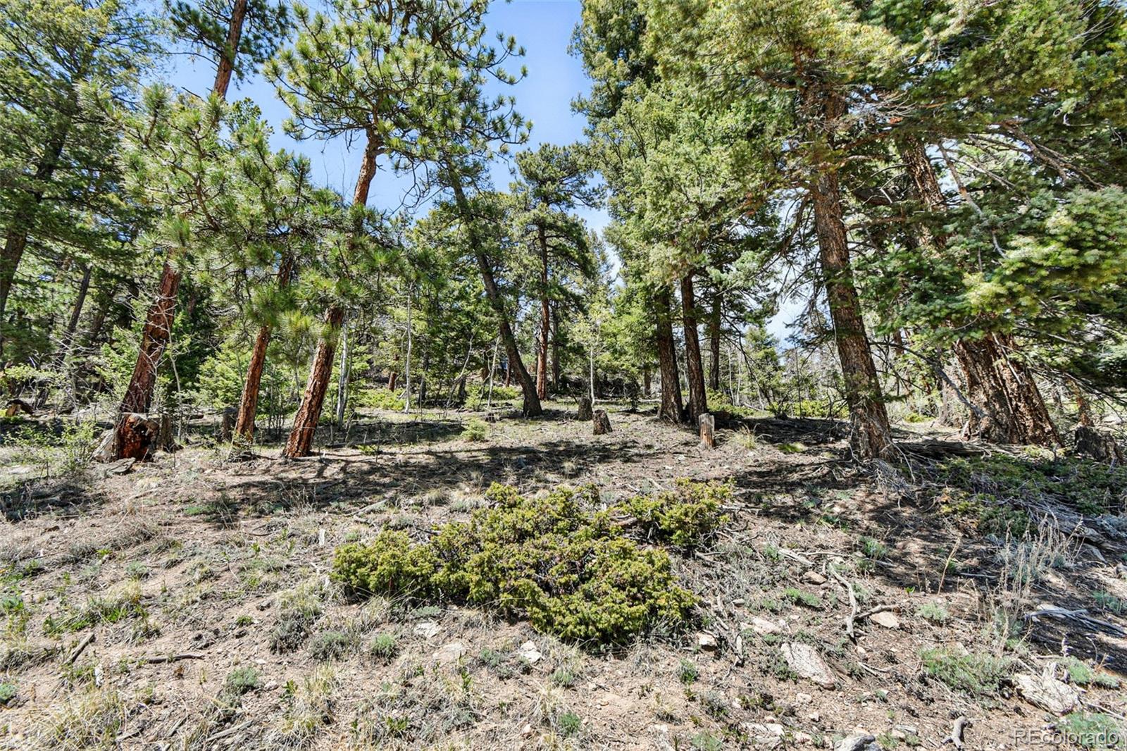 11618 Nichols Way Conifer CO 80433