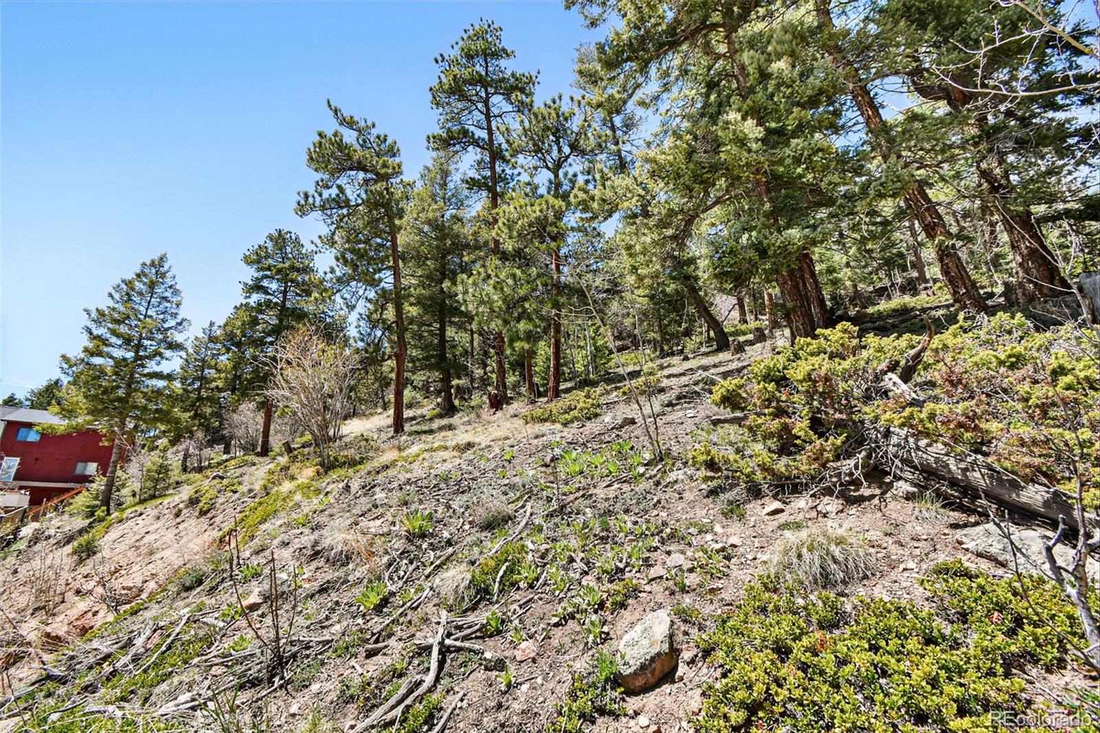 11618 Nichols Way Conifer CO 80433