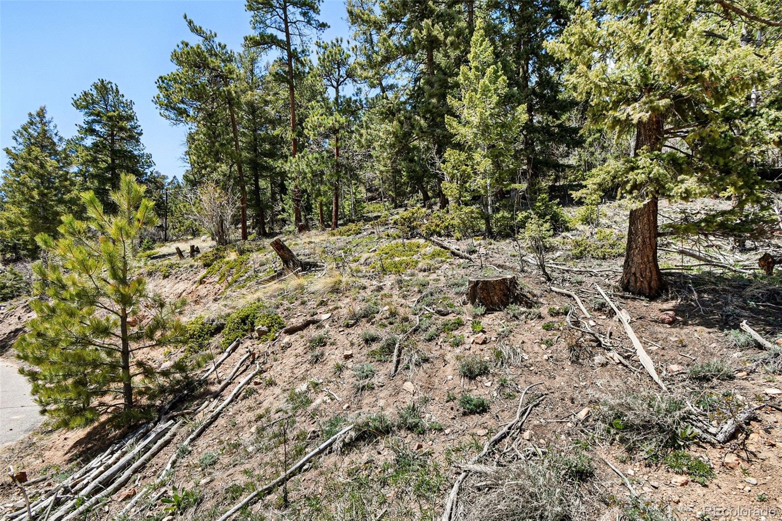 11618 Nichols Way Conifer CO 80433