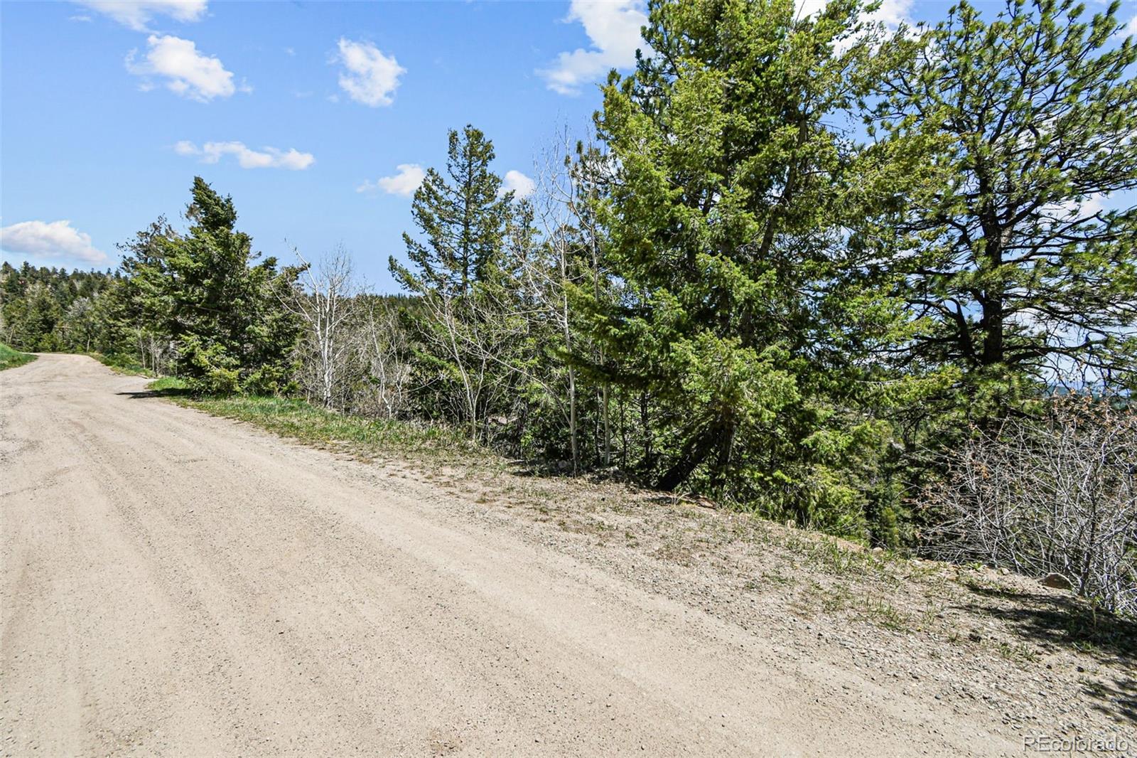 11618 Nichols Way Conifer CO 80433