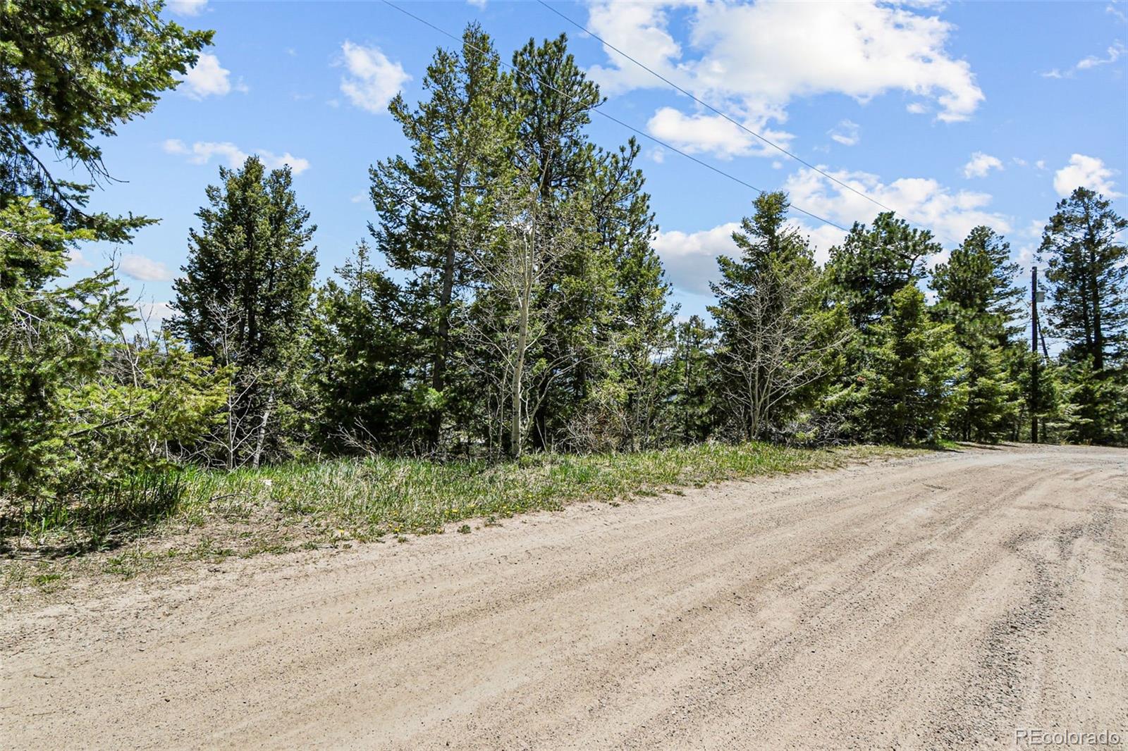 11618 Nichols Way Conifer CO 80433