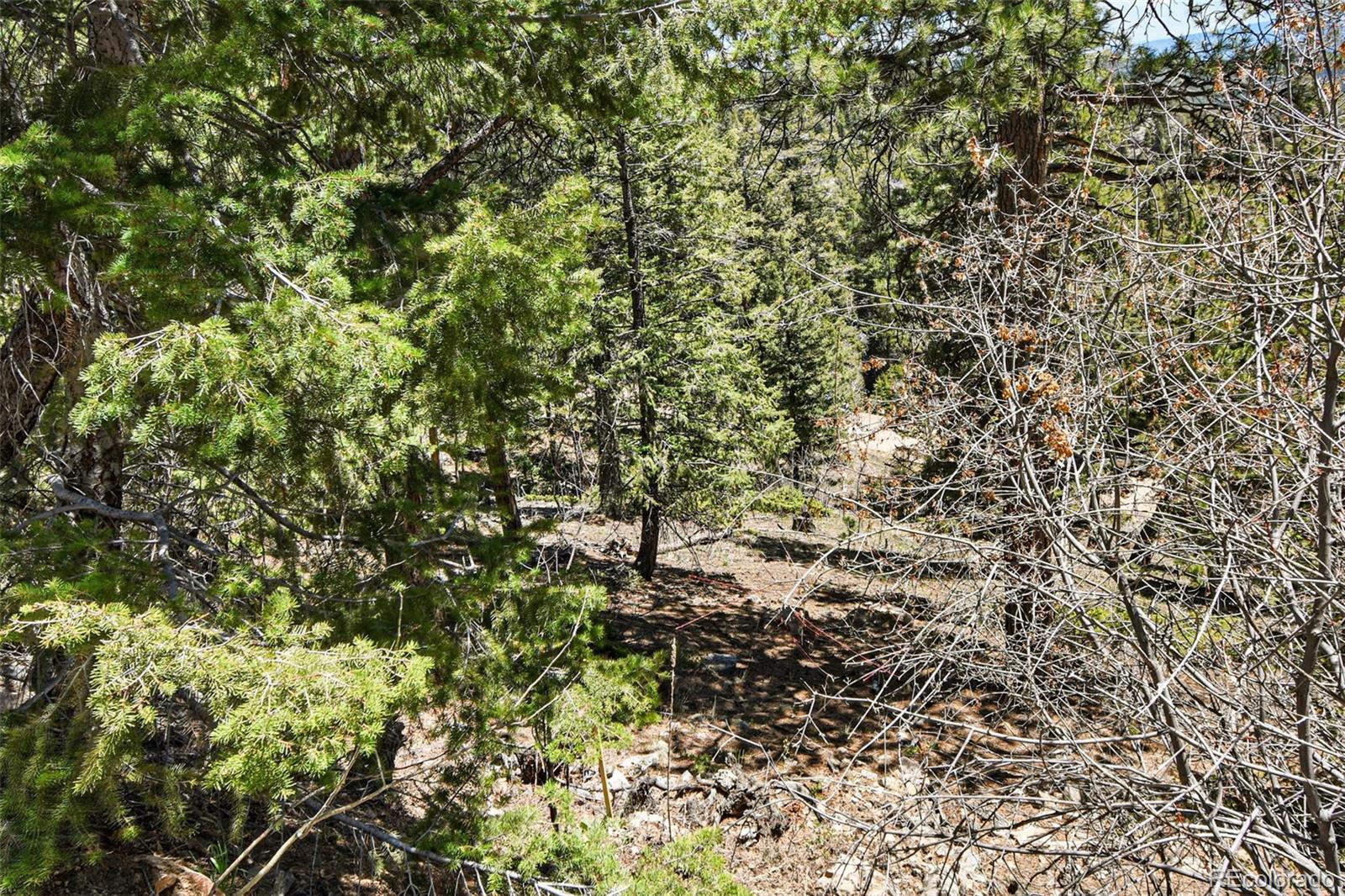 11618 Nichols Way Conifer CO 80433