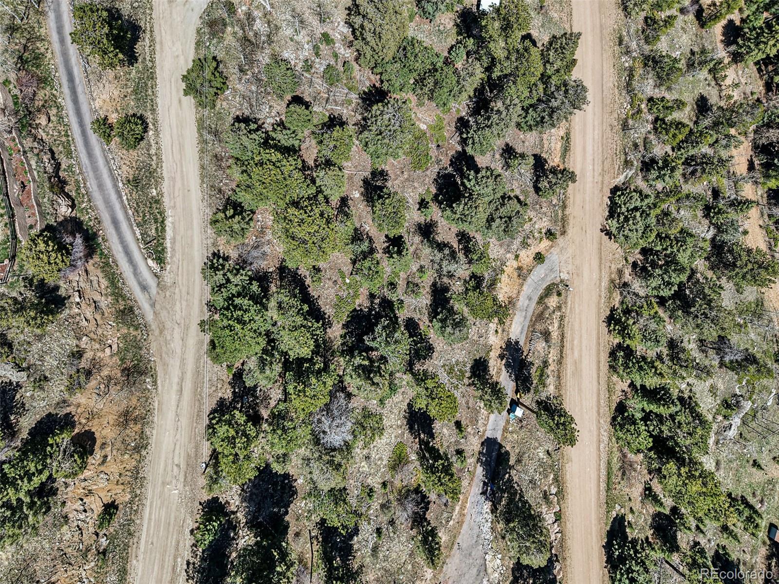 11618 Nichols Way Conifer CO 80433