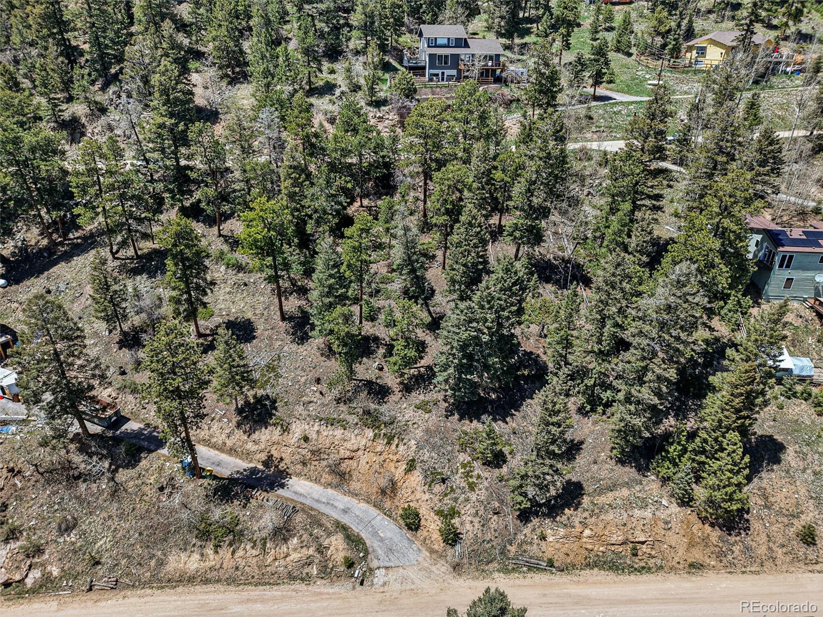 11618 Nichols Way Conifer CO 80433