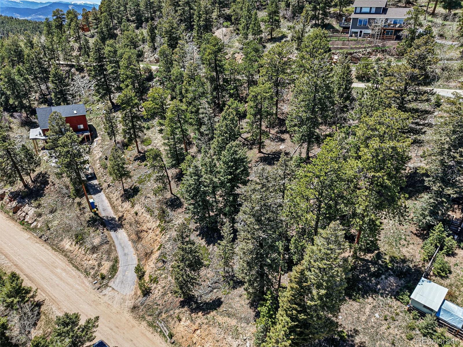 11618 Nichols Way Conifer CO 80433