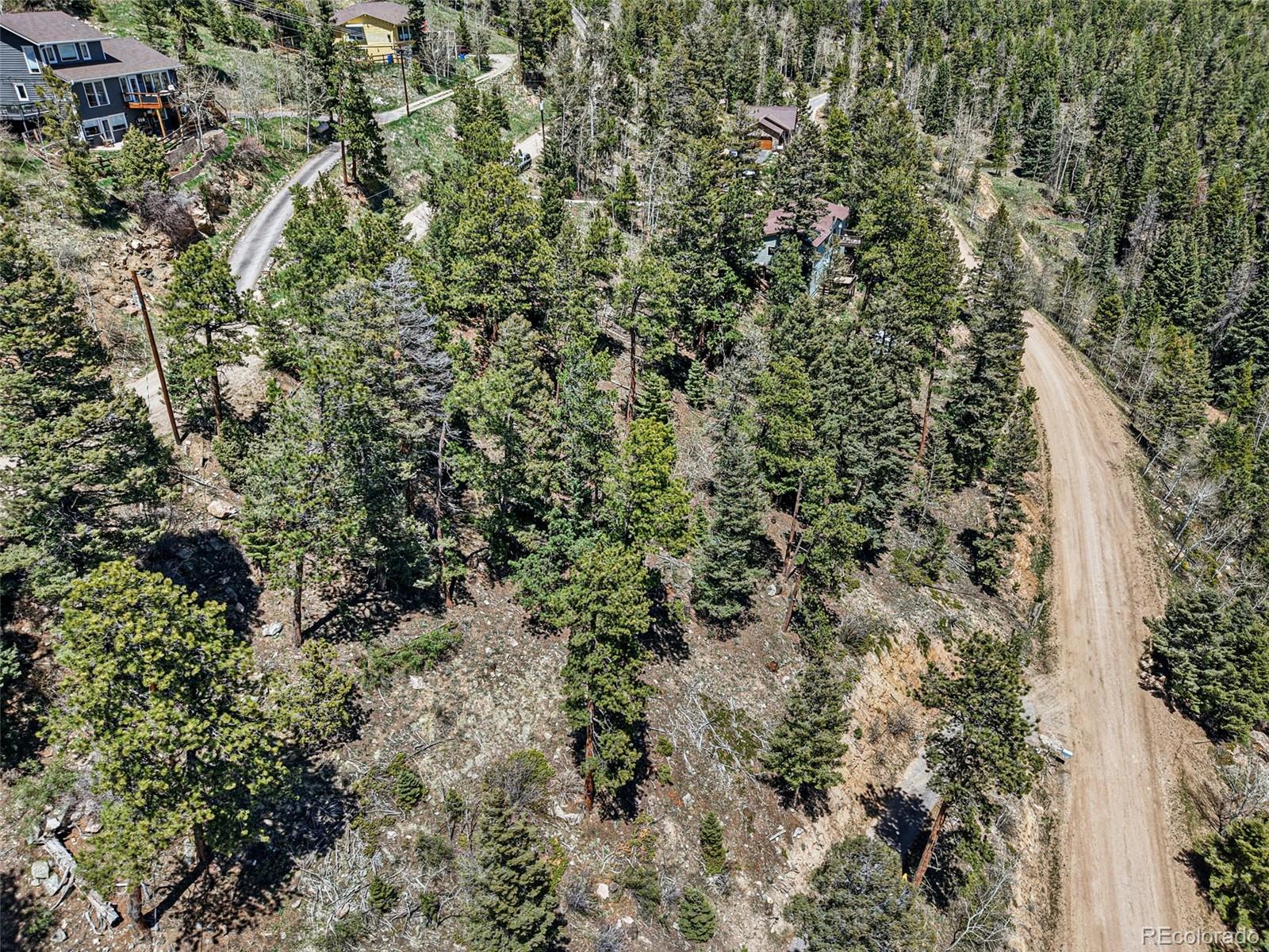 11618 Nichols Way Conifer CO 80433