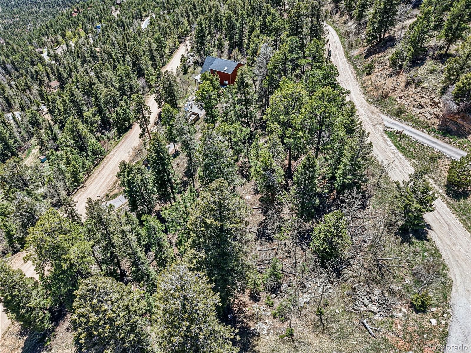 11618 Nichols Way Conifer CO 80433