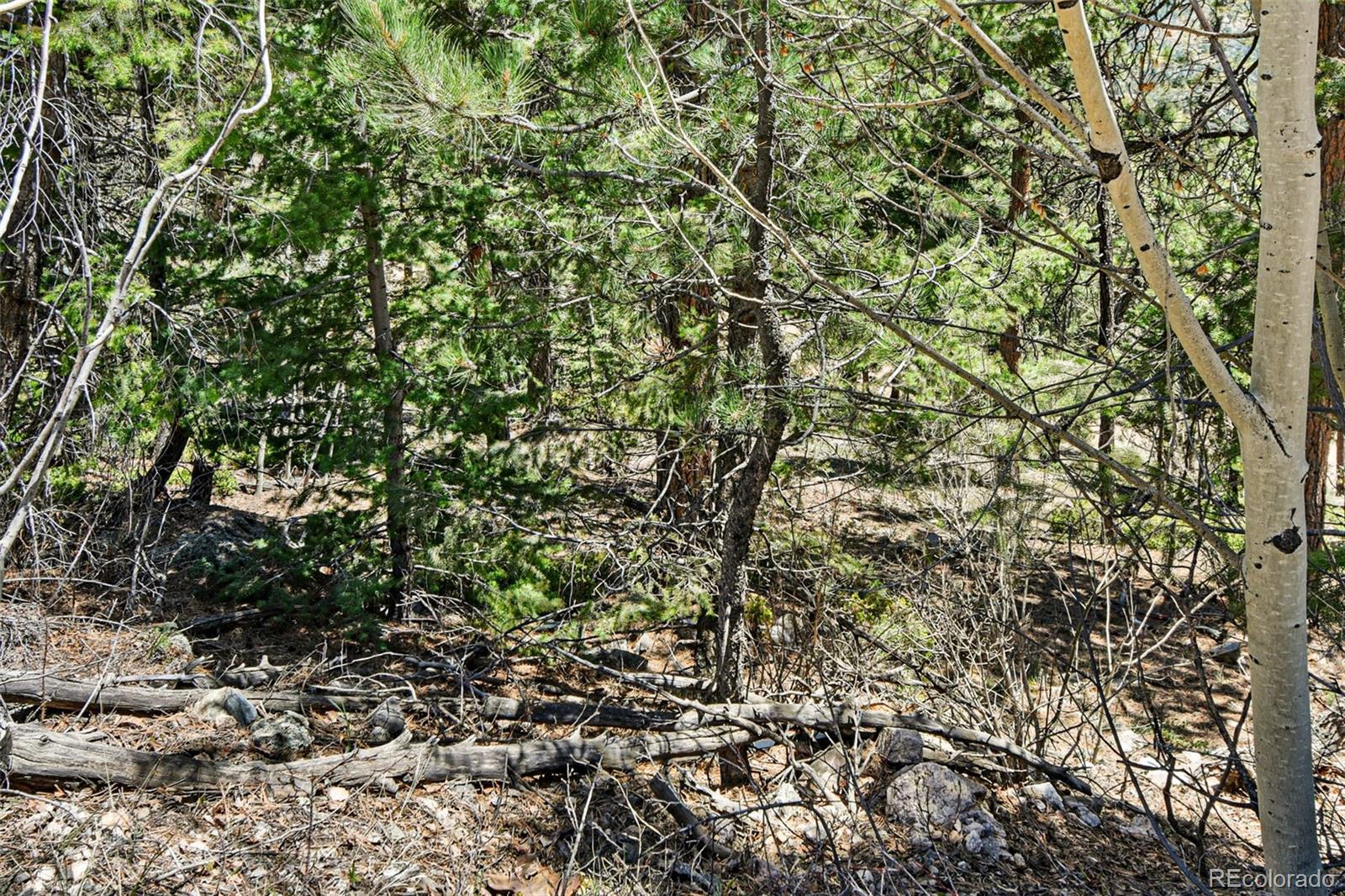 11618 Nichols Way Conifer CO 80433