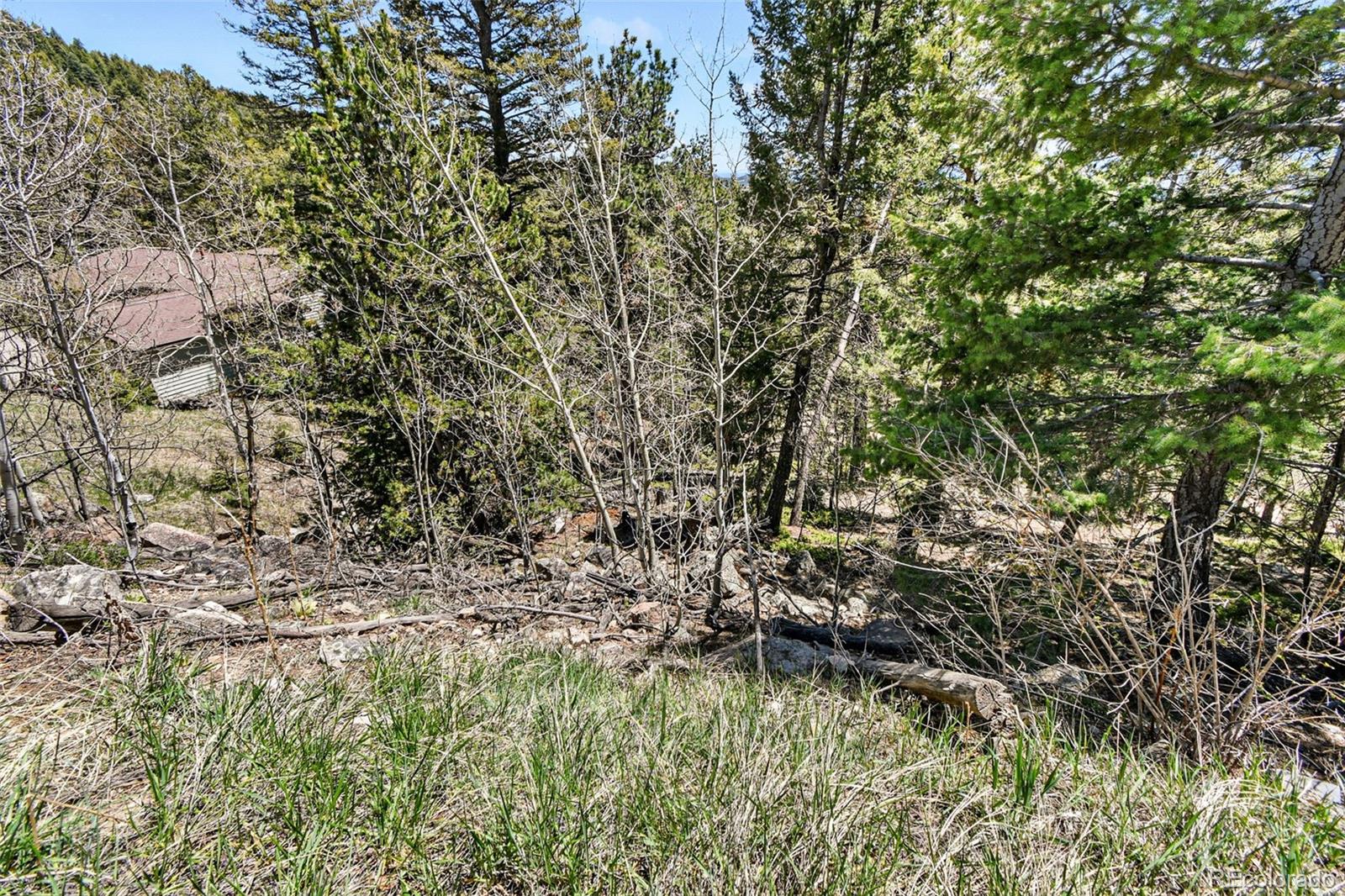 11618 Nichols Way Conifer CO 80433