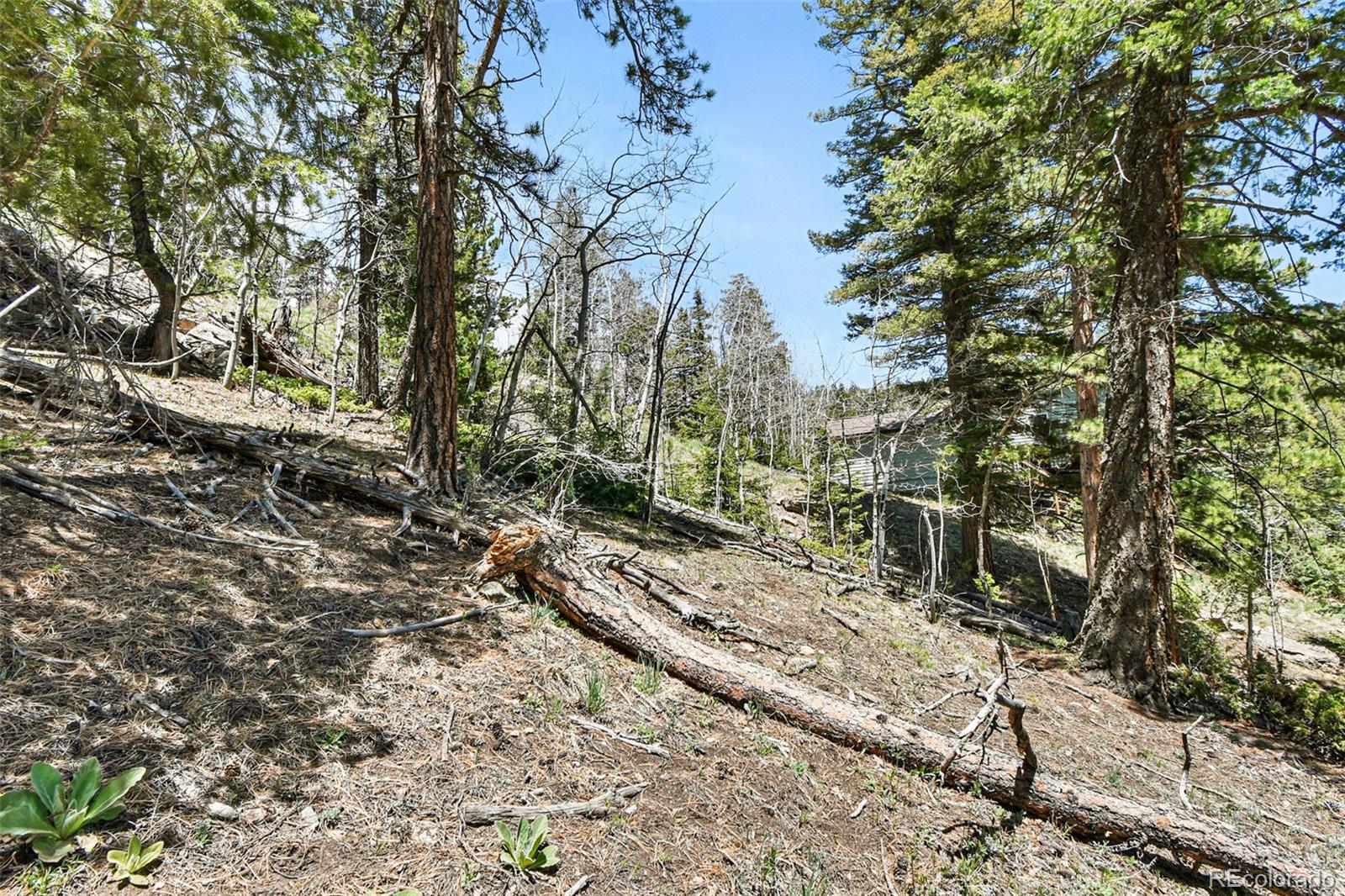11618 Nichols Way Conifer CO 80433