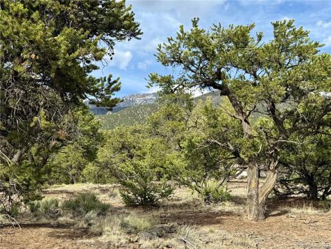 3503 N Bivouac Overlook Crestone CO 81131