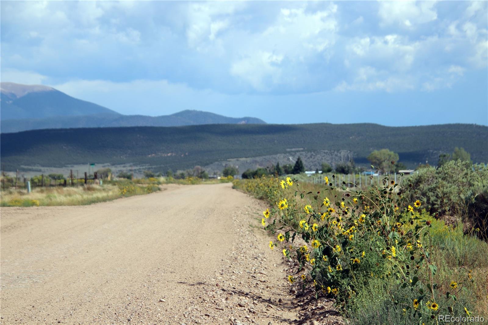 123 Acres County Road 13.2 Garcia CO 81152