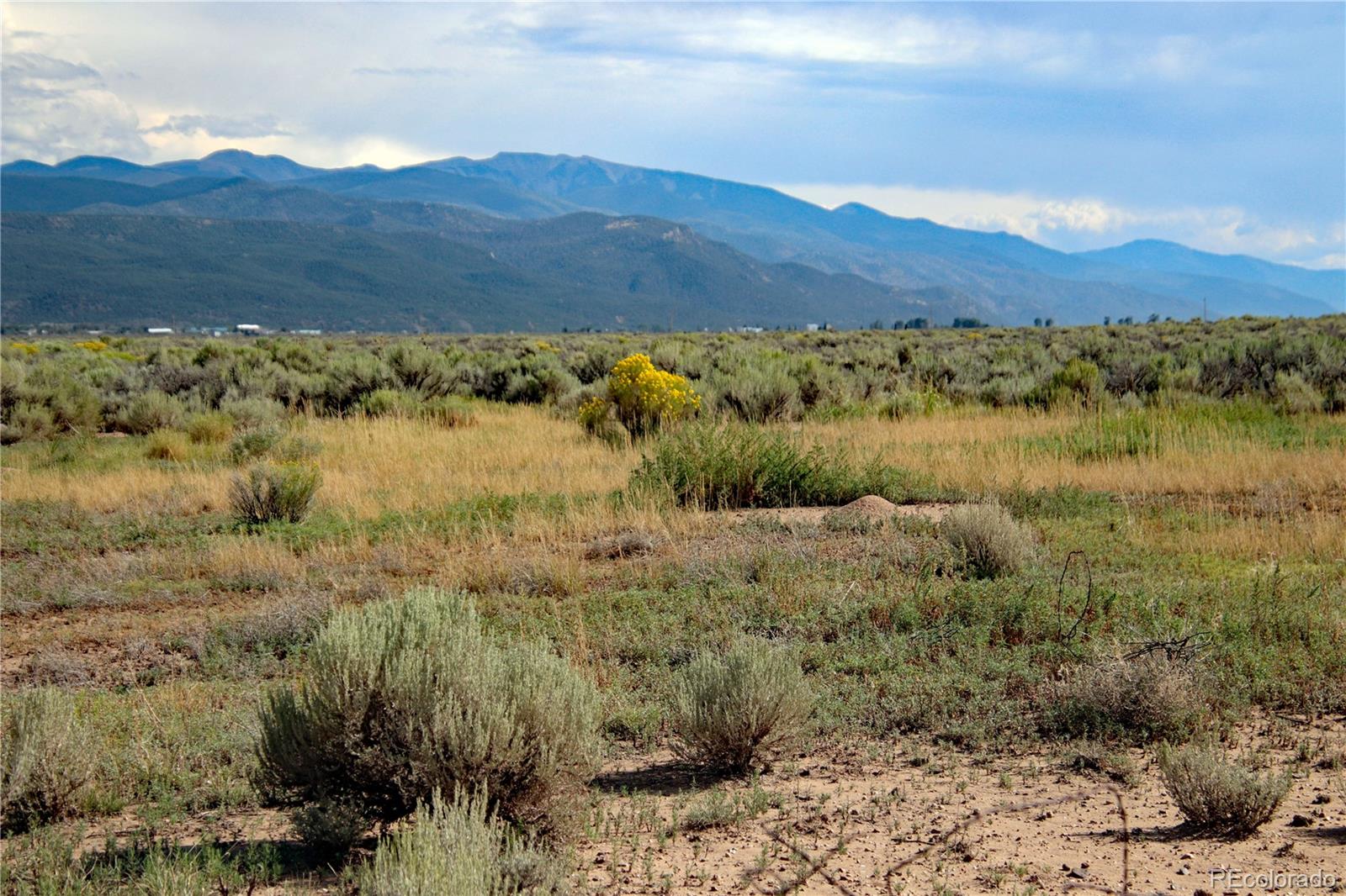 123 Acres County Road 13.2 Garcia CO 81152