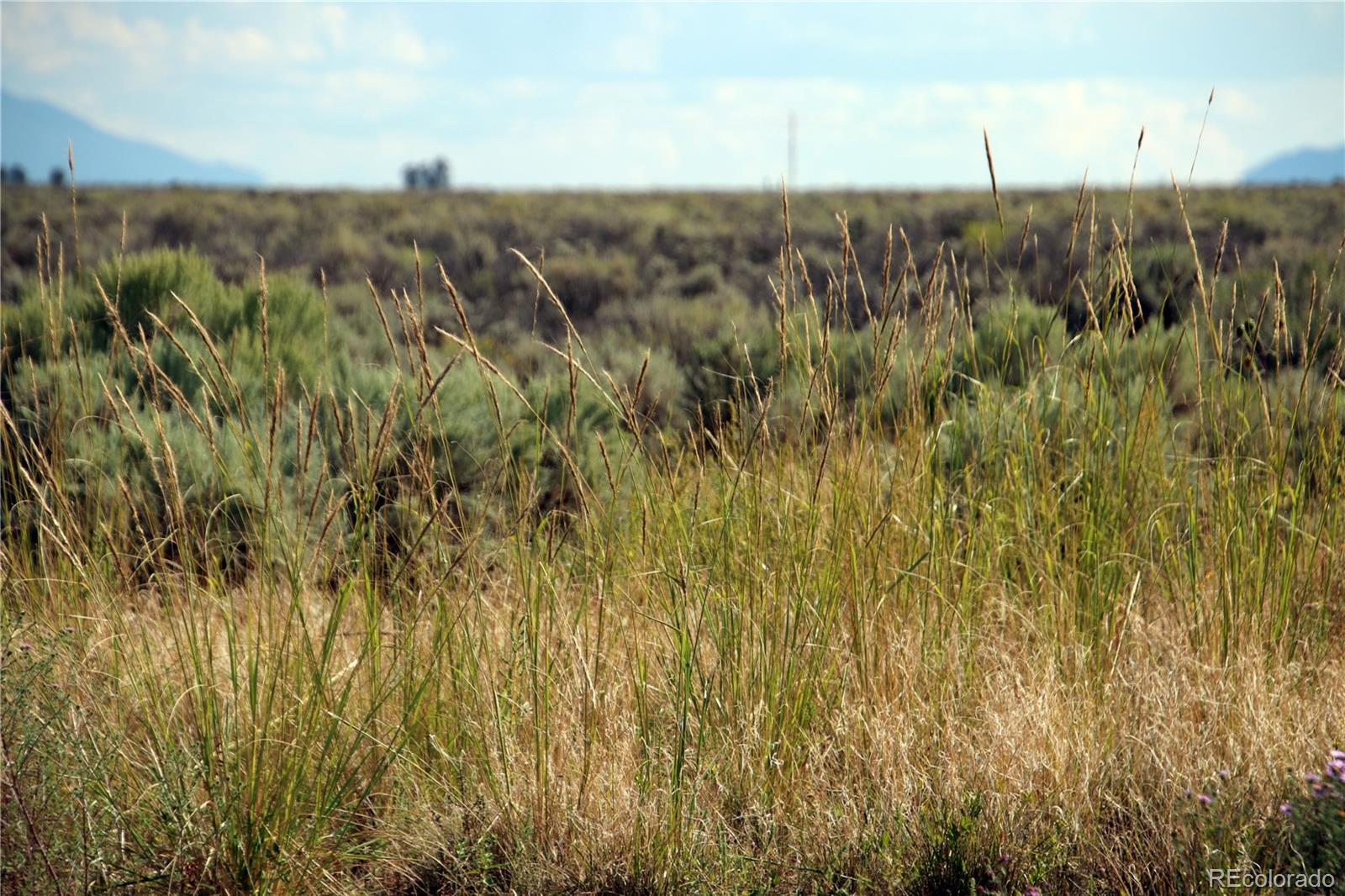 123 Acres County Road 13.2 Garcia CO 81152