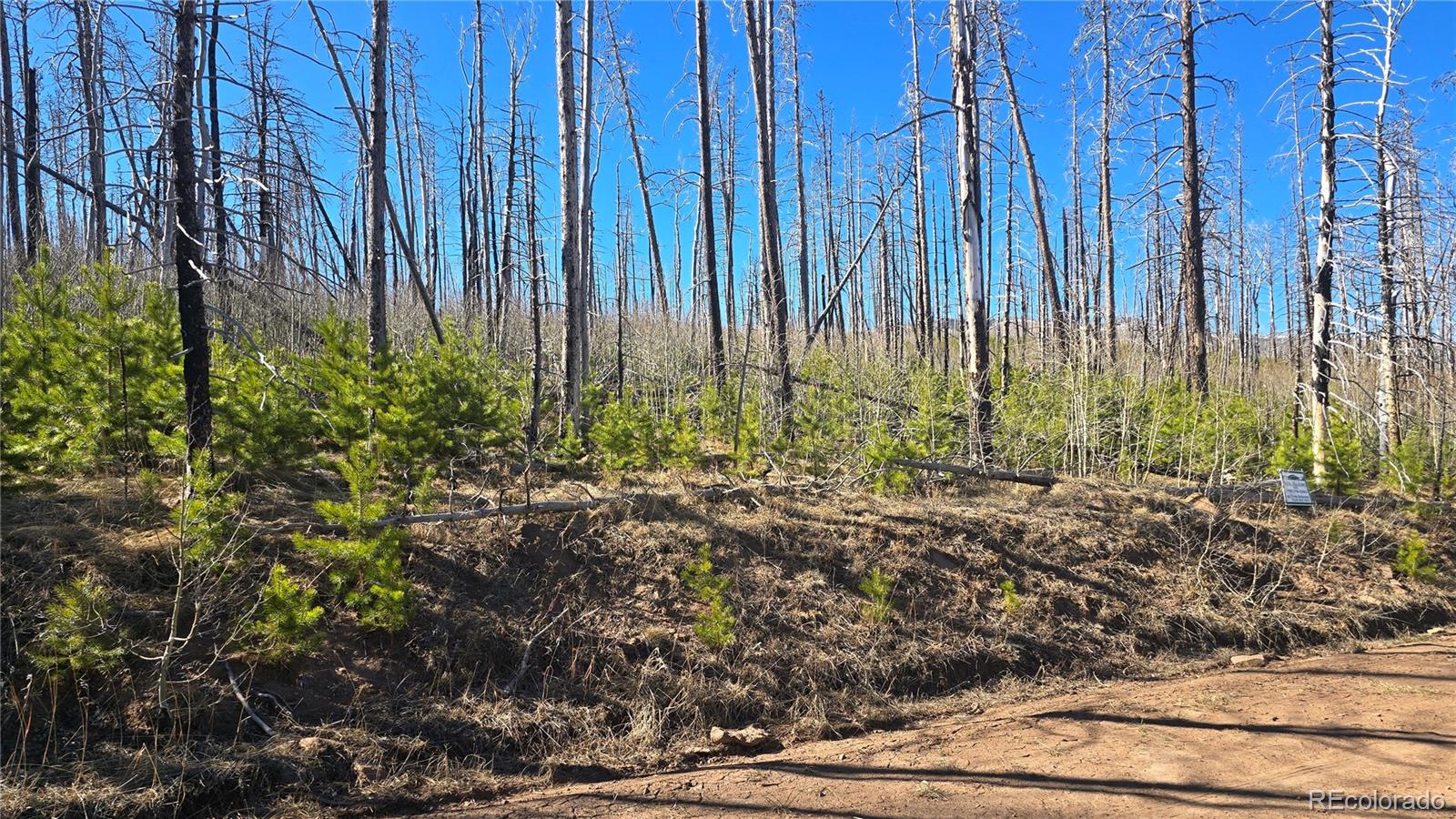 Lot 1470 Von Heyl Lane Fort Garland CO 81133