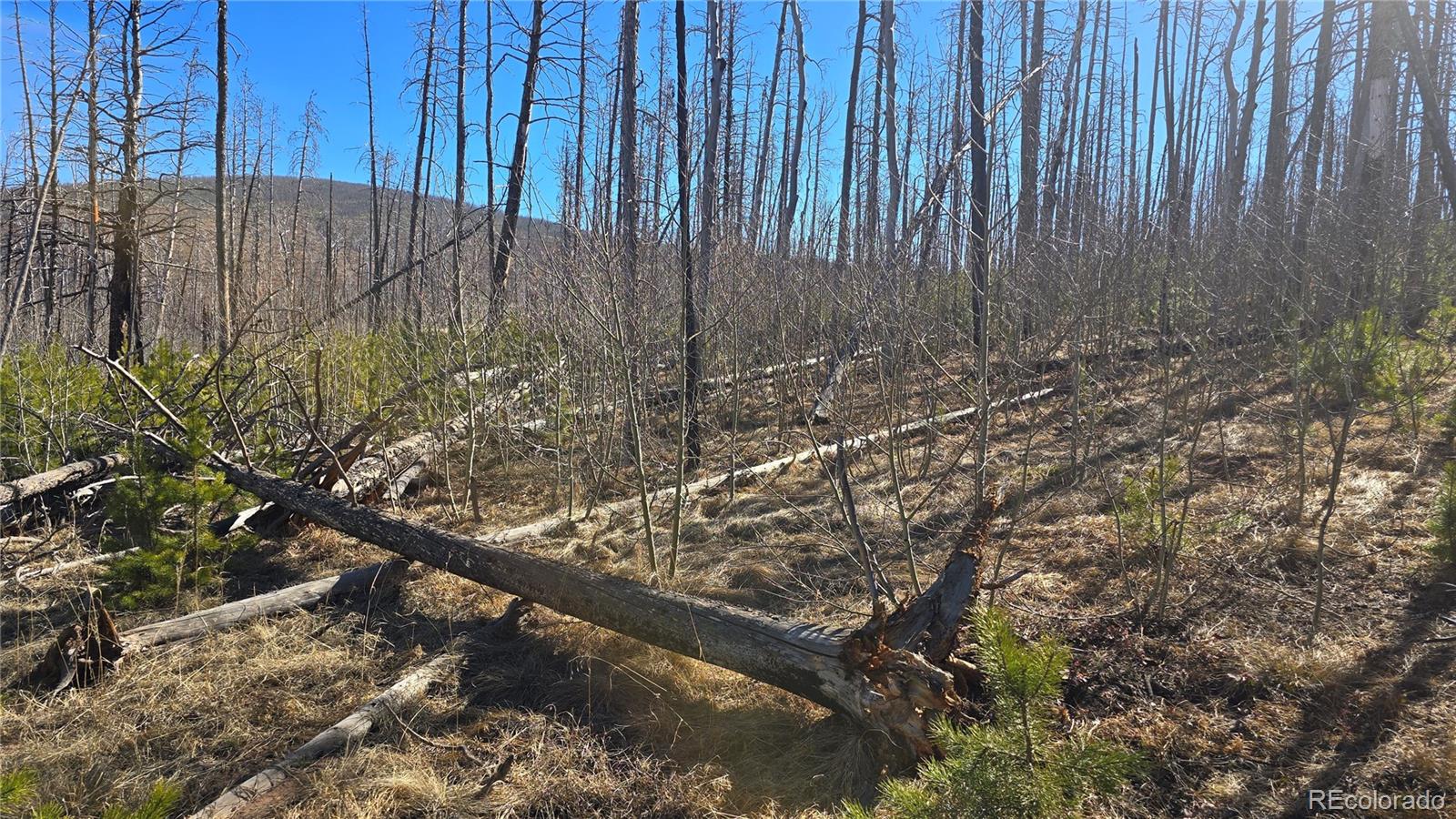 Lot 1470 Von Heyl Lane Fort Garland CO 81133