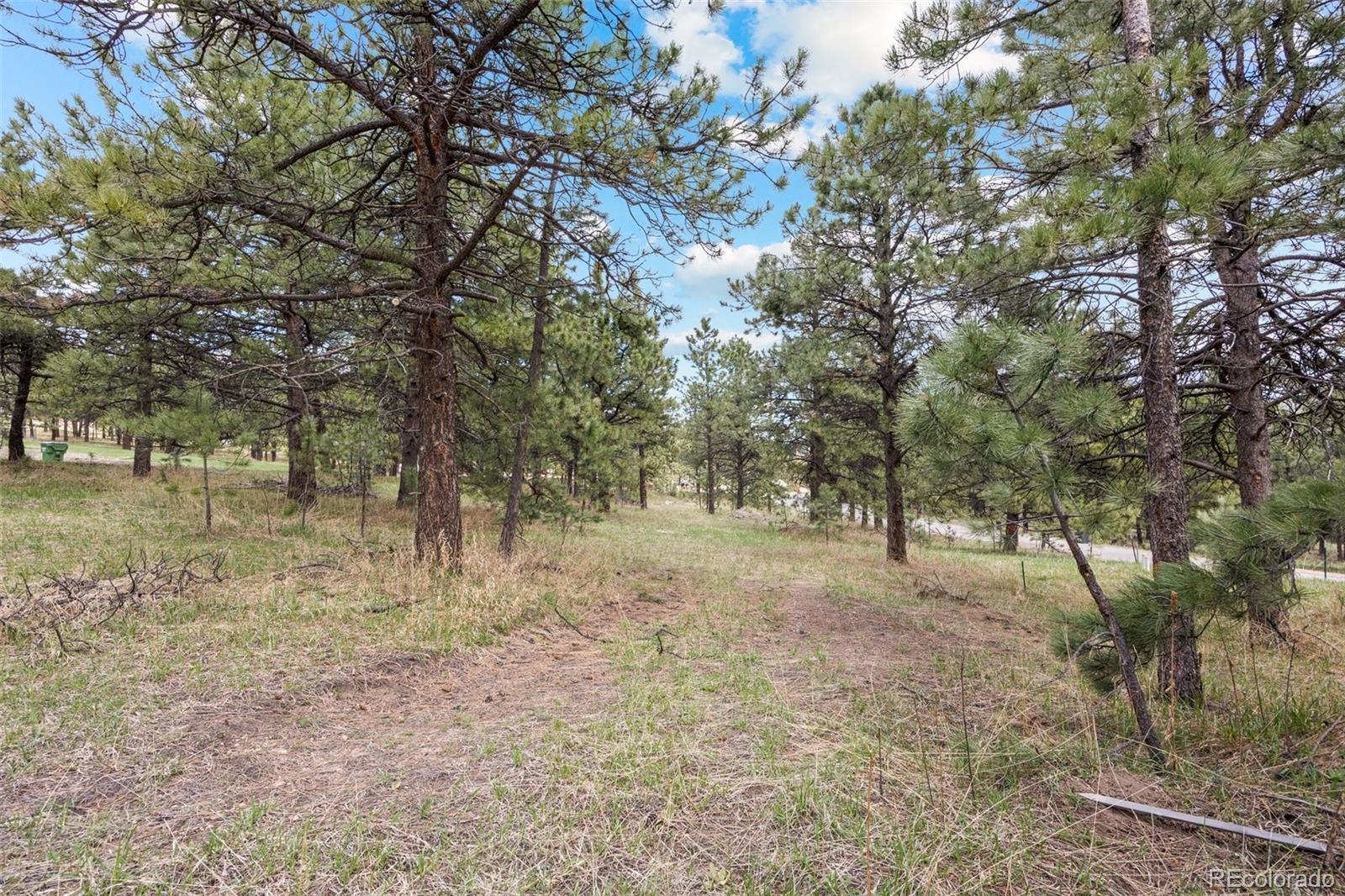 6068 S Skyline Drive Evergreen CO 80439