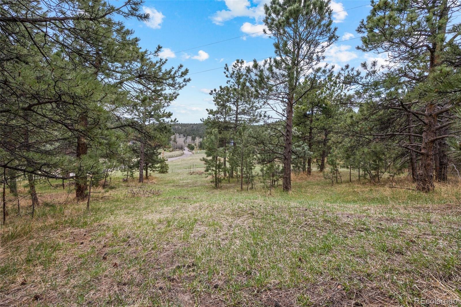 6068 S Skyline Drive Evergreen CO 80439