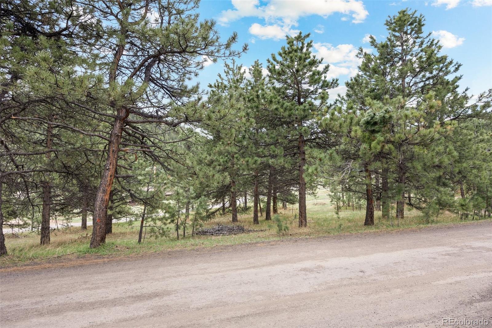 6068 S Skyline Drive Evergreen CO 80439