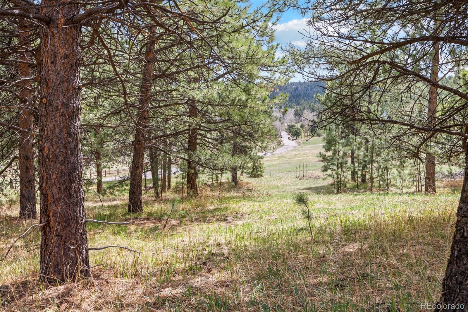 6068 S Skyline Drive Evergreen CO 80439