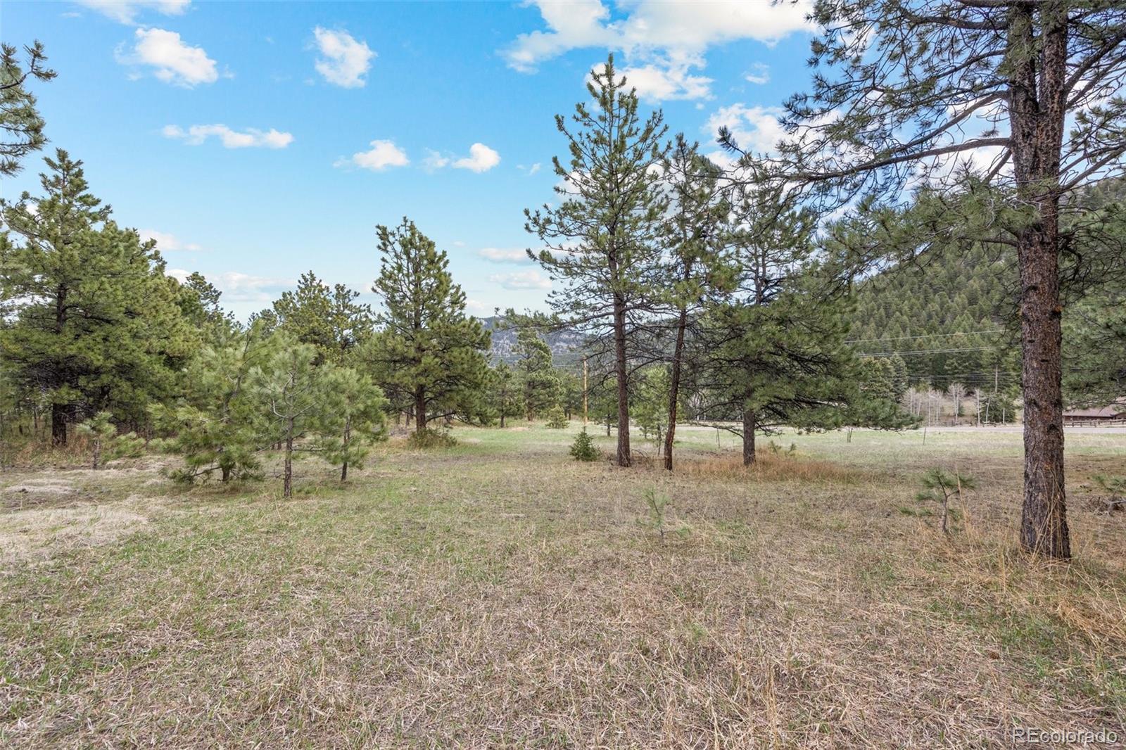 6068 S Skyline Drive Evergreen CO 80439