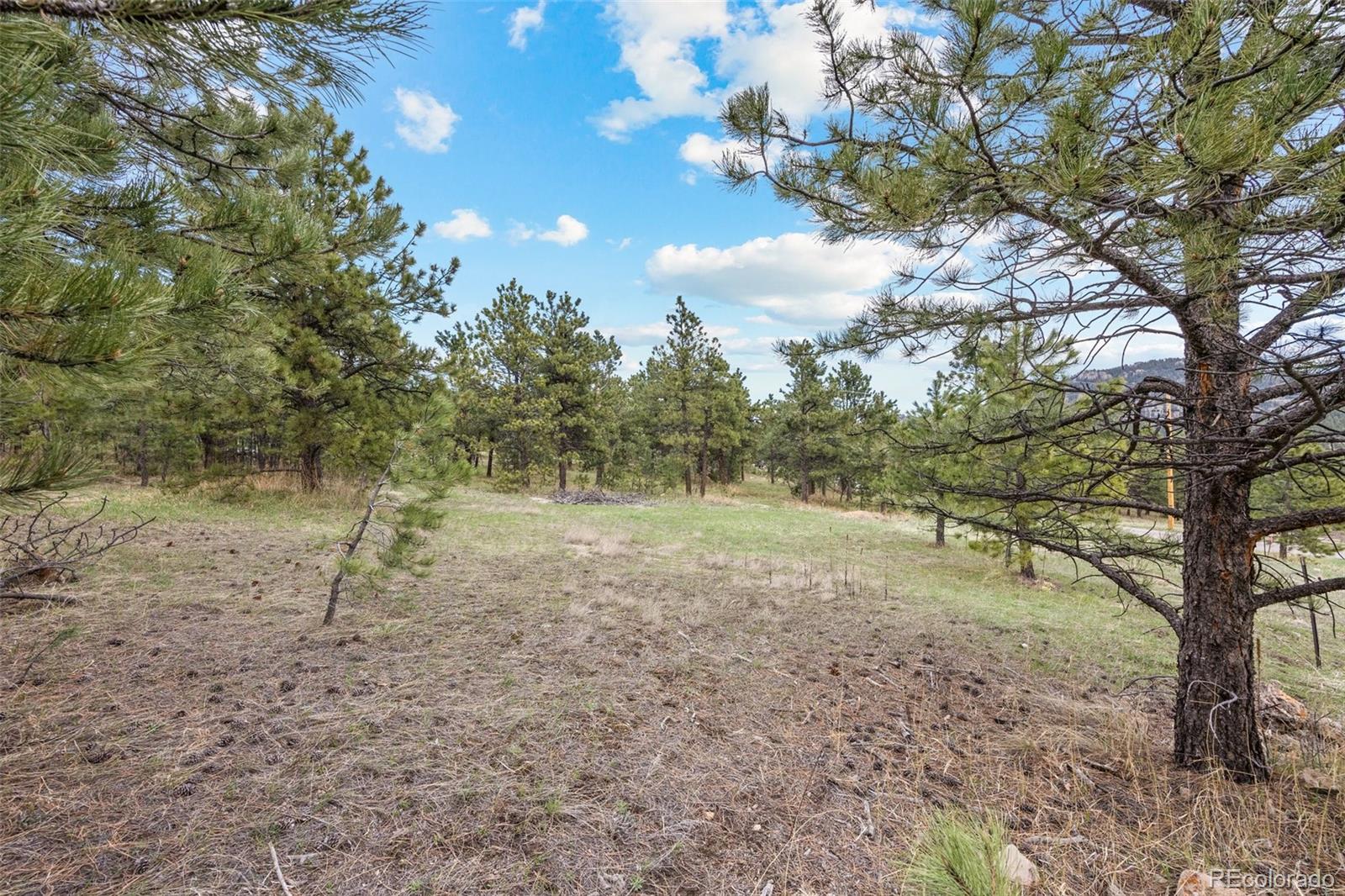 6068 S Skyline Drive Evergreen CO 80439