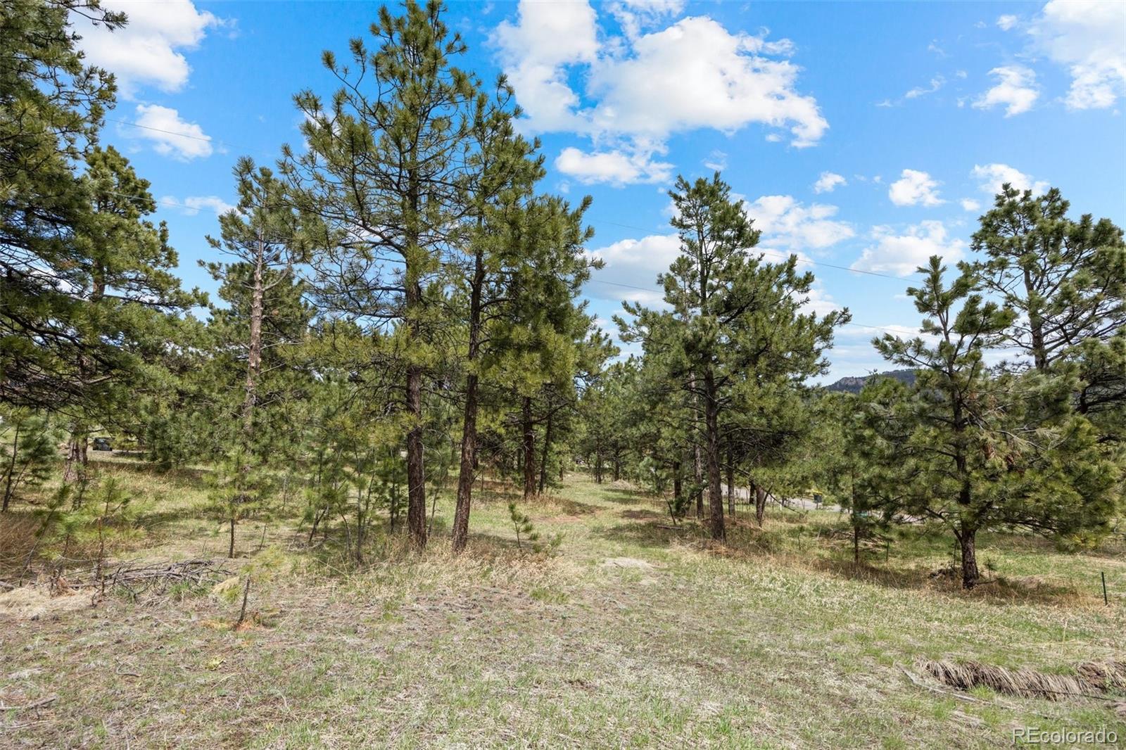 6068 S Skyline Drive Evergreen CO 80439