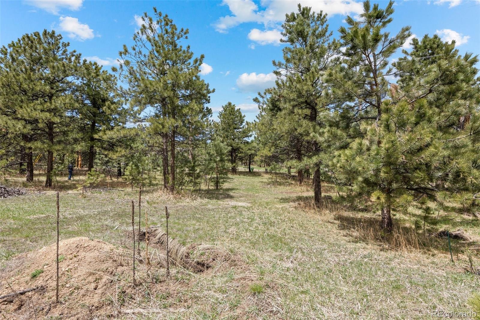 6068 S Skyline Drive Evergreen CO 80439