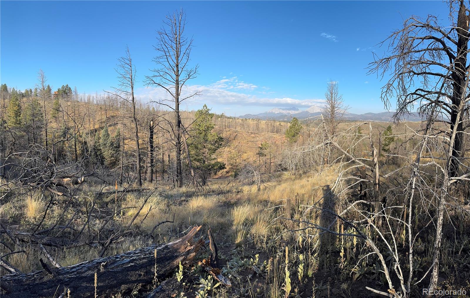 Forbes Park Road Fort Garland CO 81133