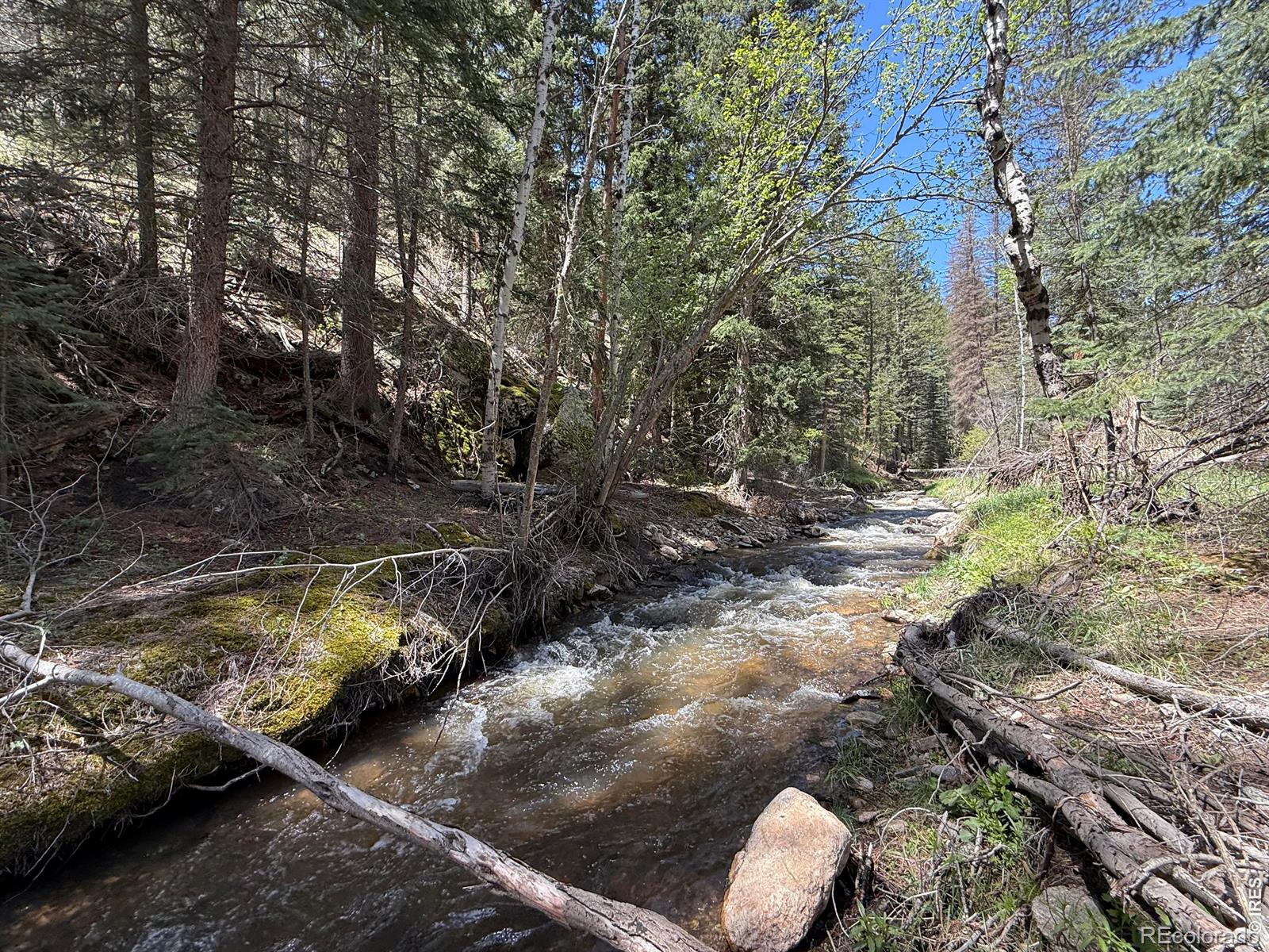 0 Fisherman Lane Glen Haven CO 80532