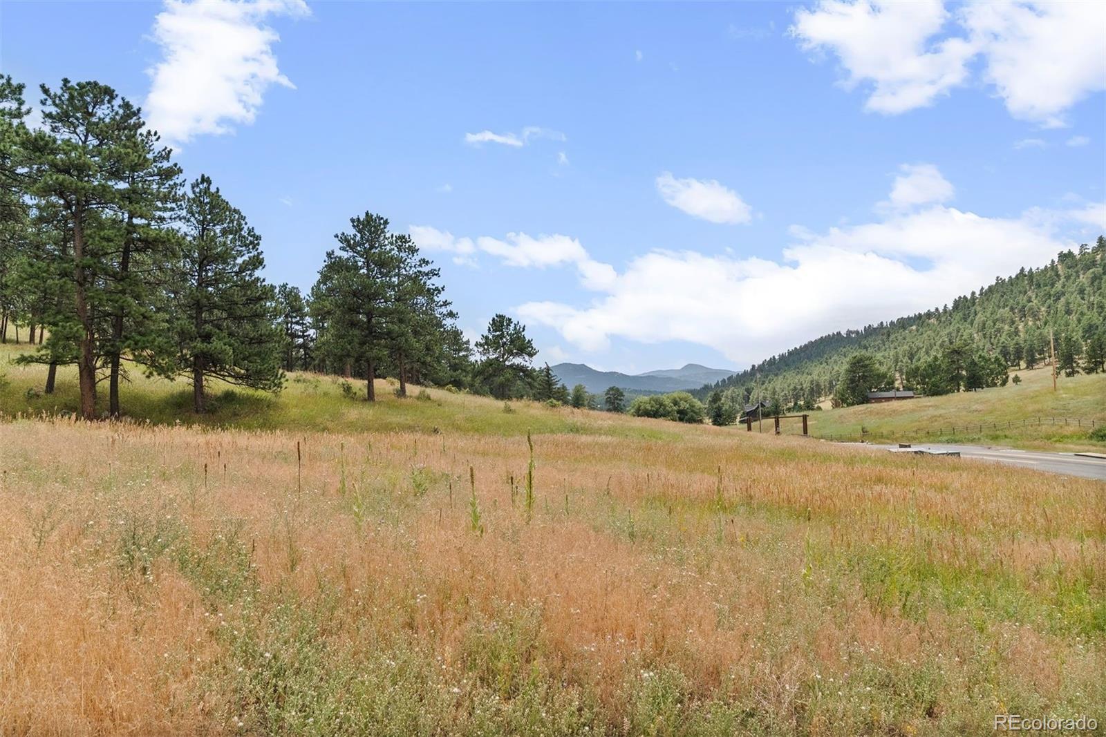 1162 Swede Gulch Road Evergreen CO 80439