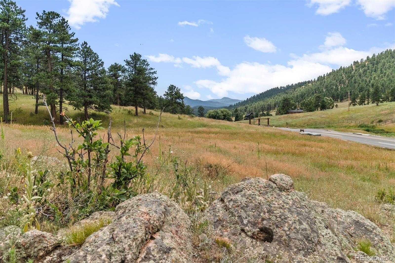1162 Swede Gulch Road Evergreen CO 80439