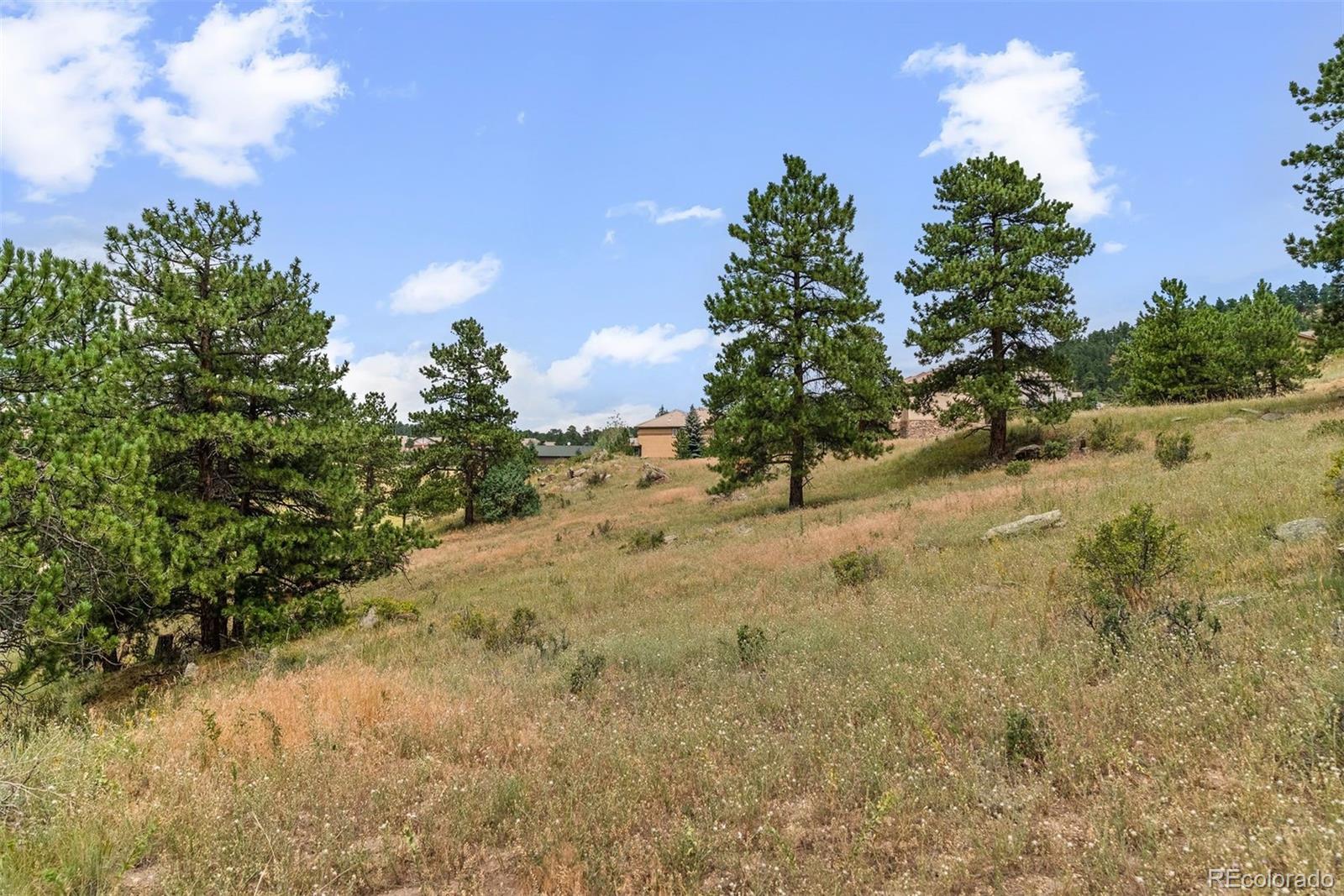 1162 Swede Gulch Road Evergreen CO 80439