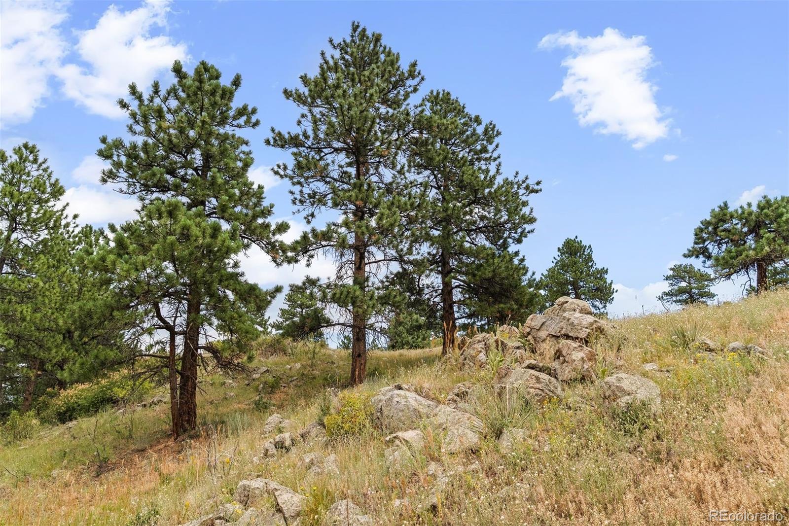 1162 Swede Gulch Road Evergreen CO 80439