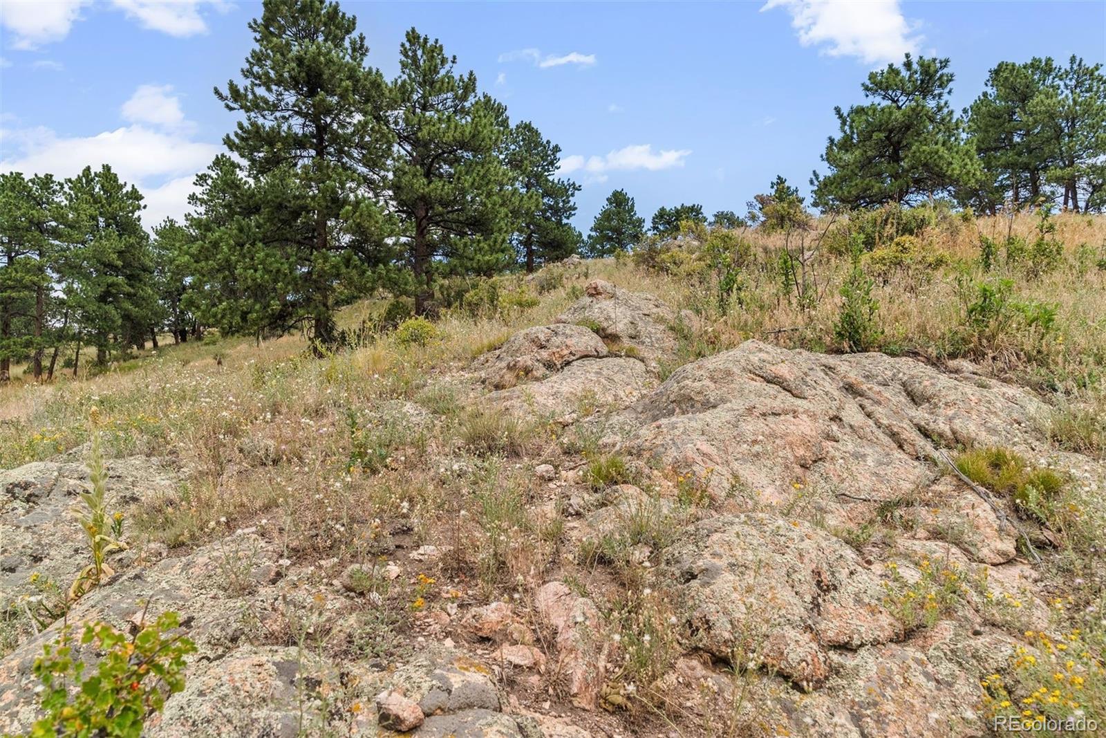 1162 Swede Gulch Road Evergreen CO 80439