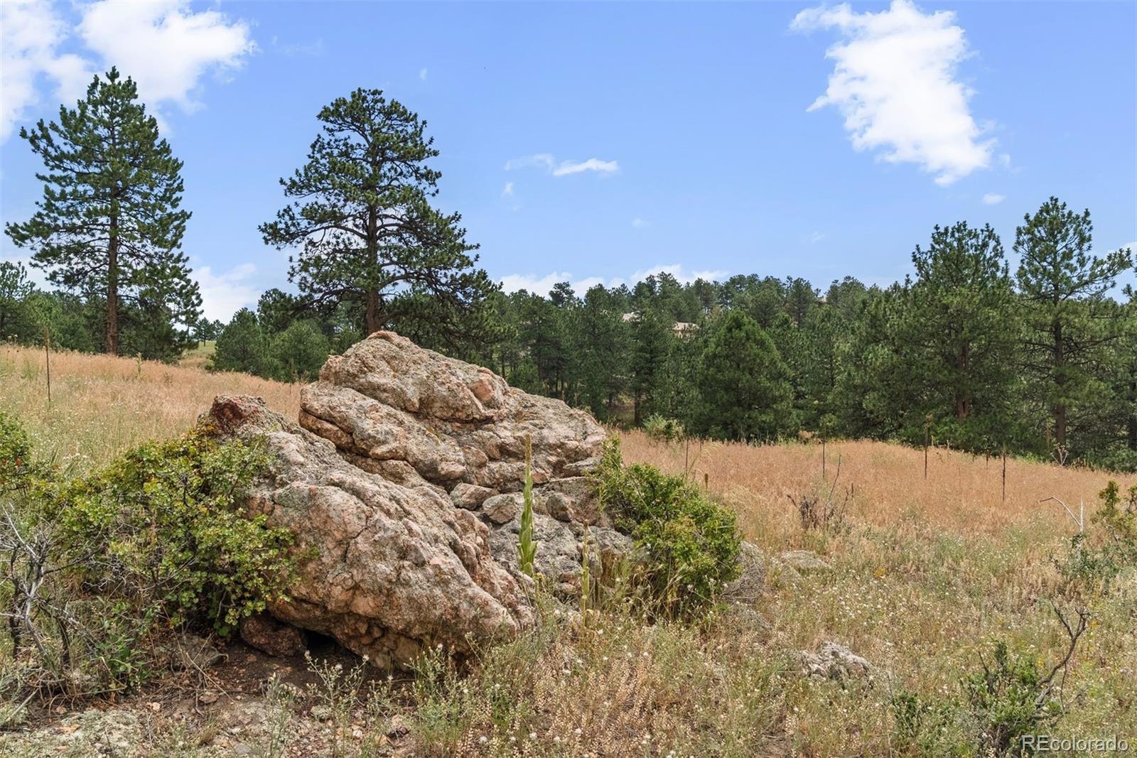 1162 Swede Gulch Road Evergreen CO 80439