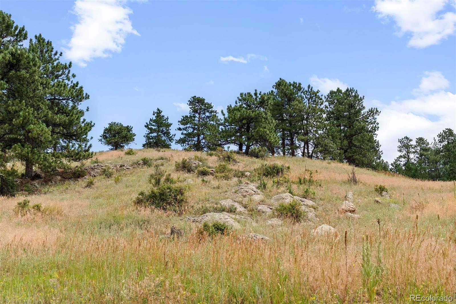 1162 Swede Gulch Road Evergreen CO 80439