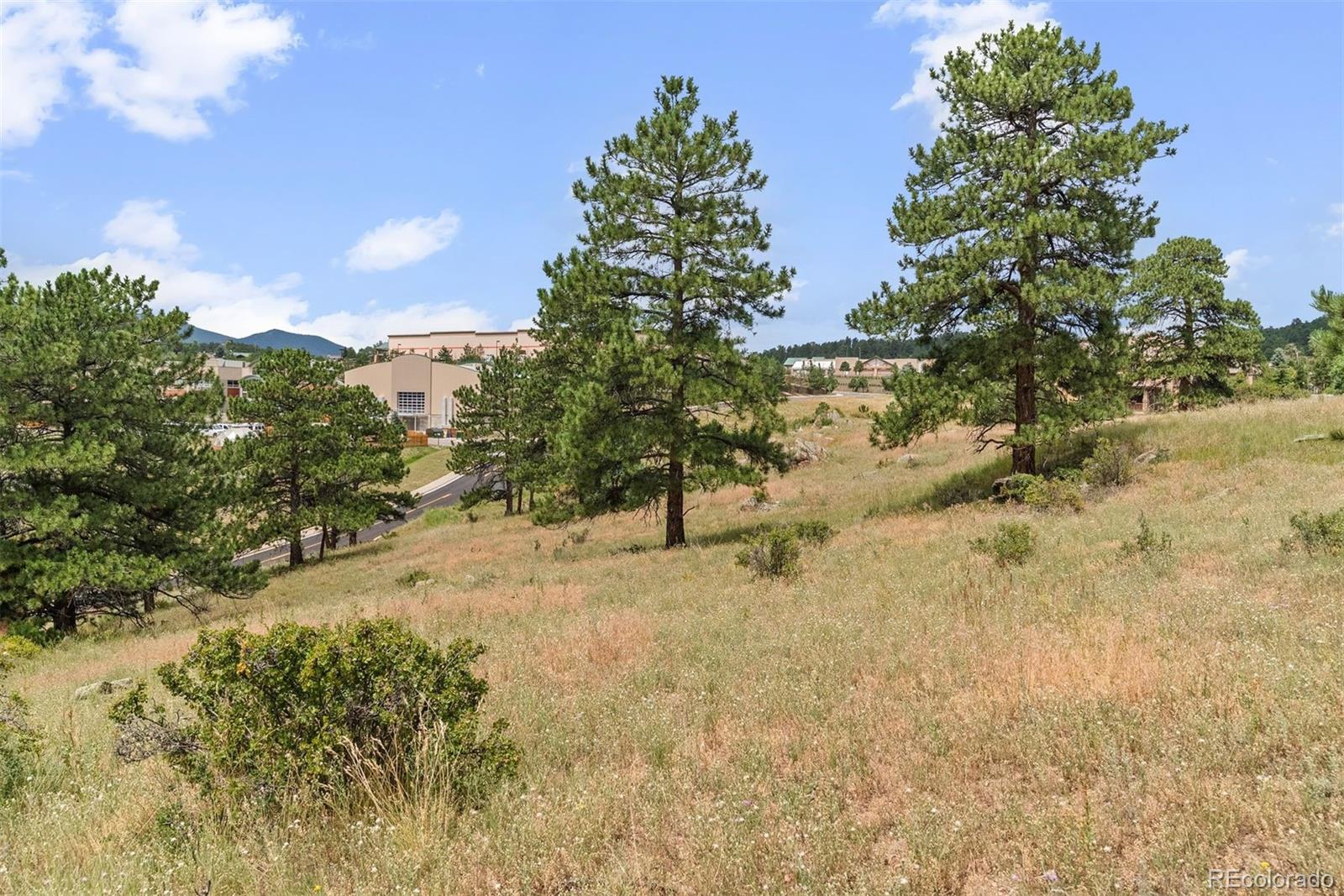 1162 Swede Gulch Road Evergreen CO 80439