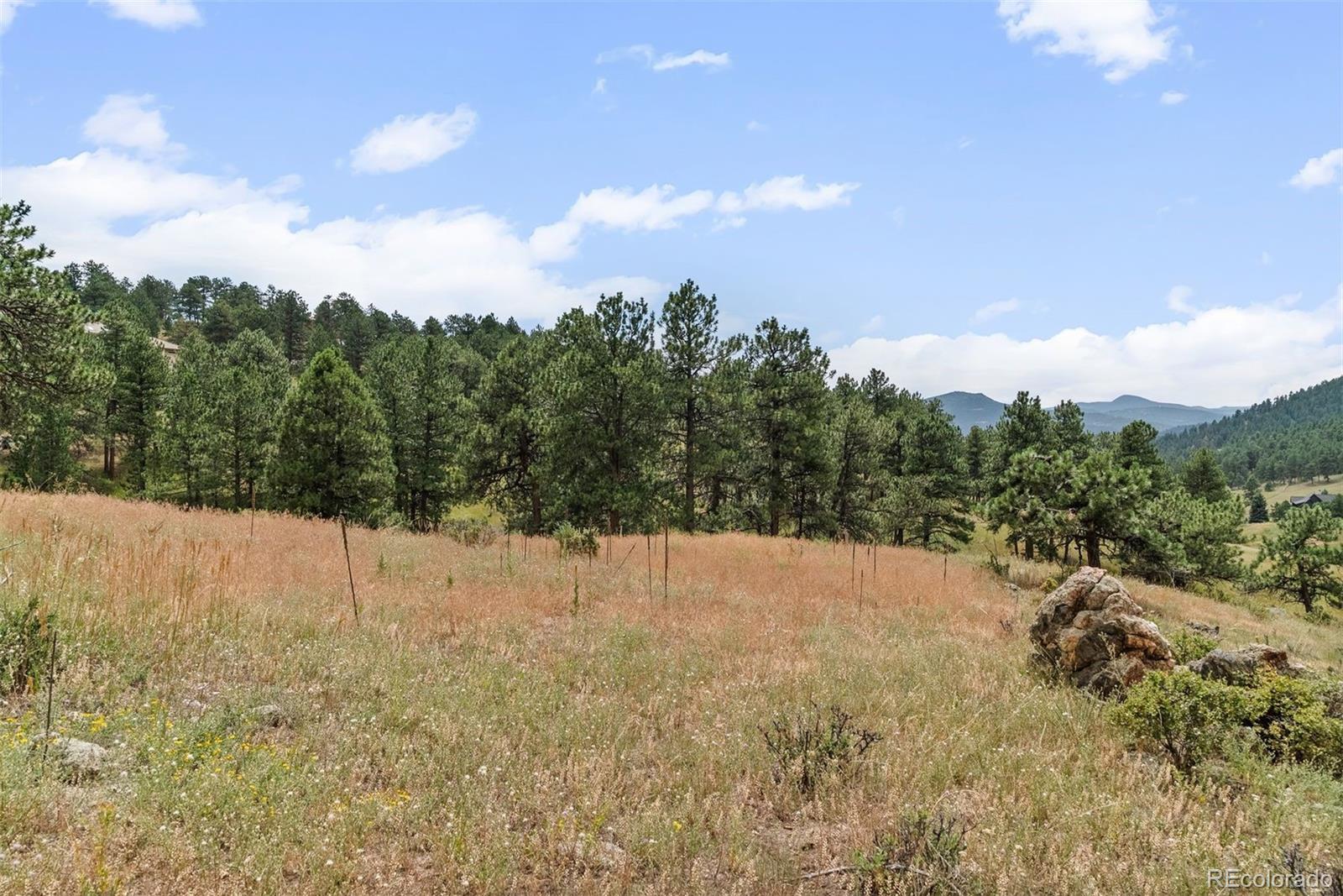 1162 Swede Gulch Road Evergreen CO 80439
