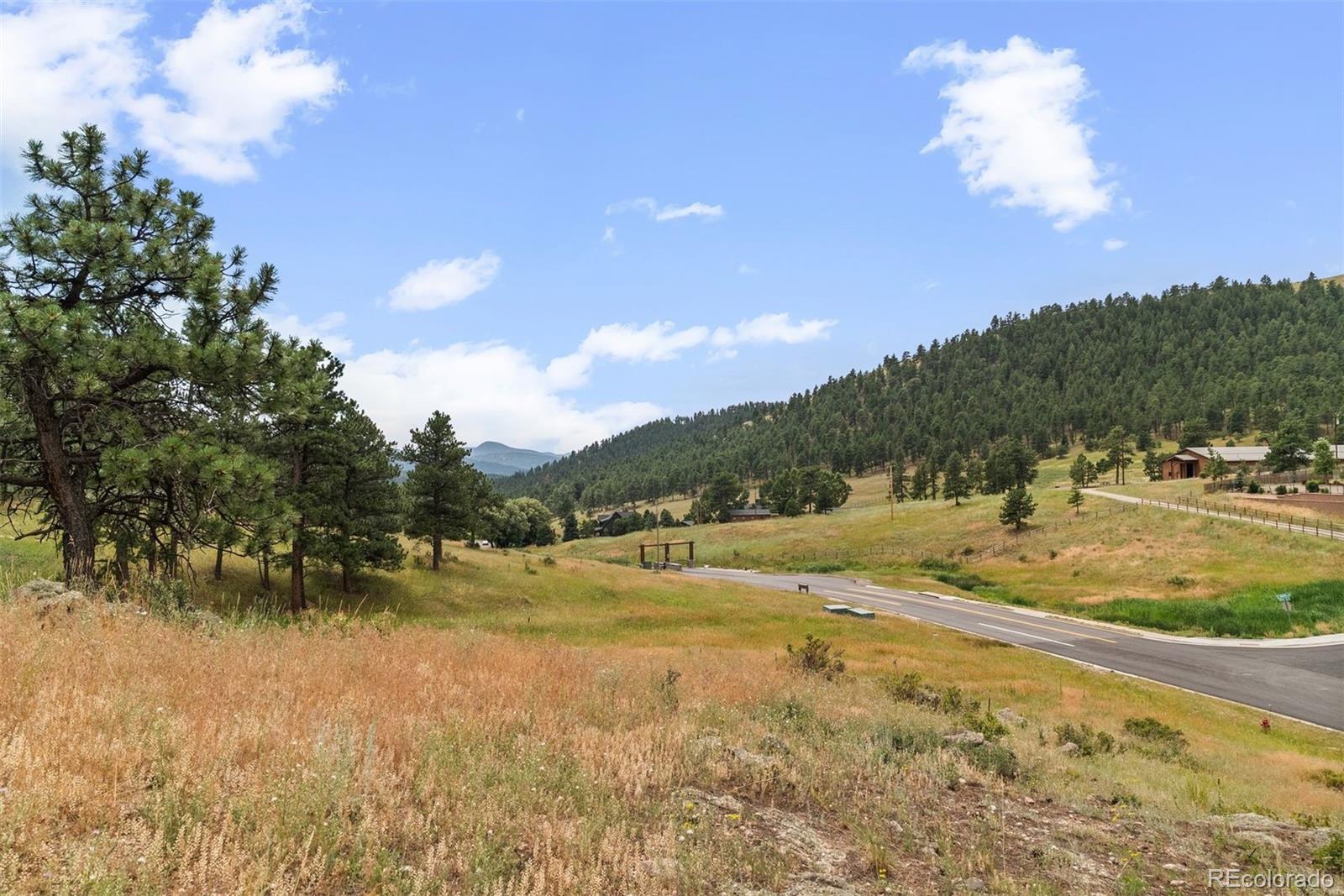 1162 Swede Gulch Road Evergreen CO 80439