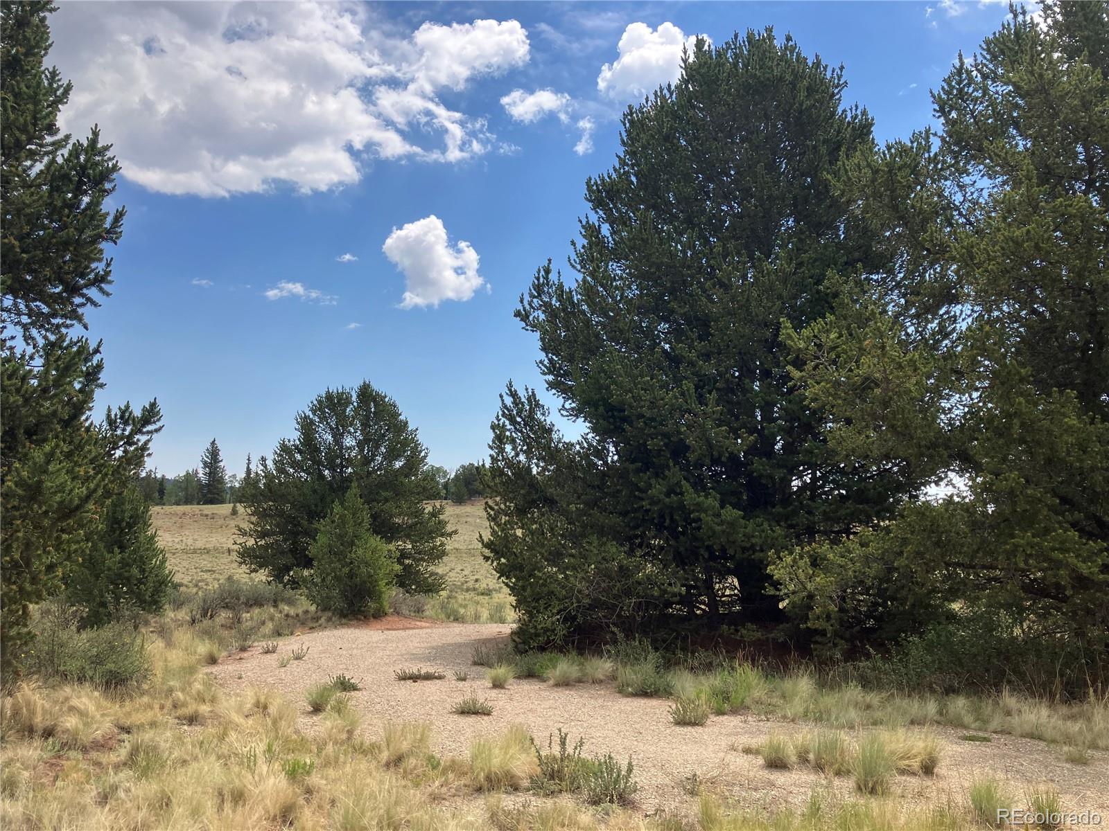 1344 Silverheels Road Fairplay CO 80440