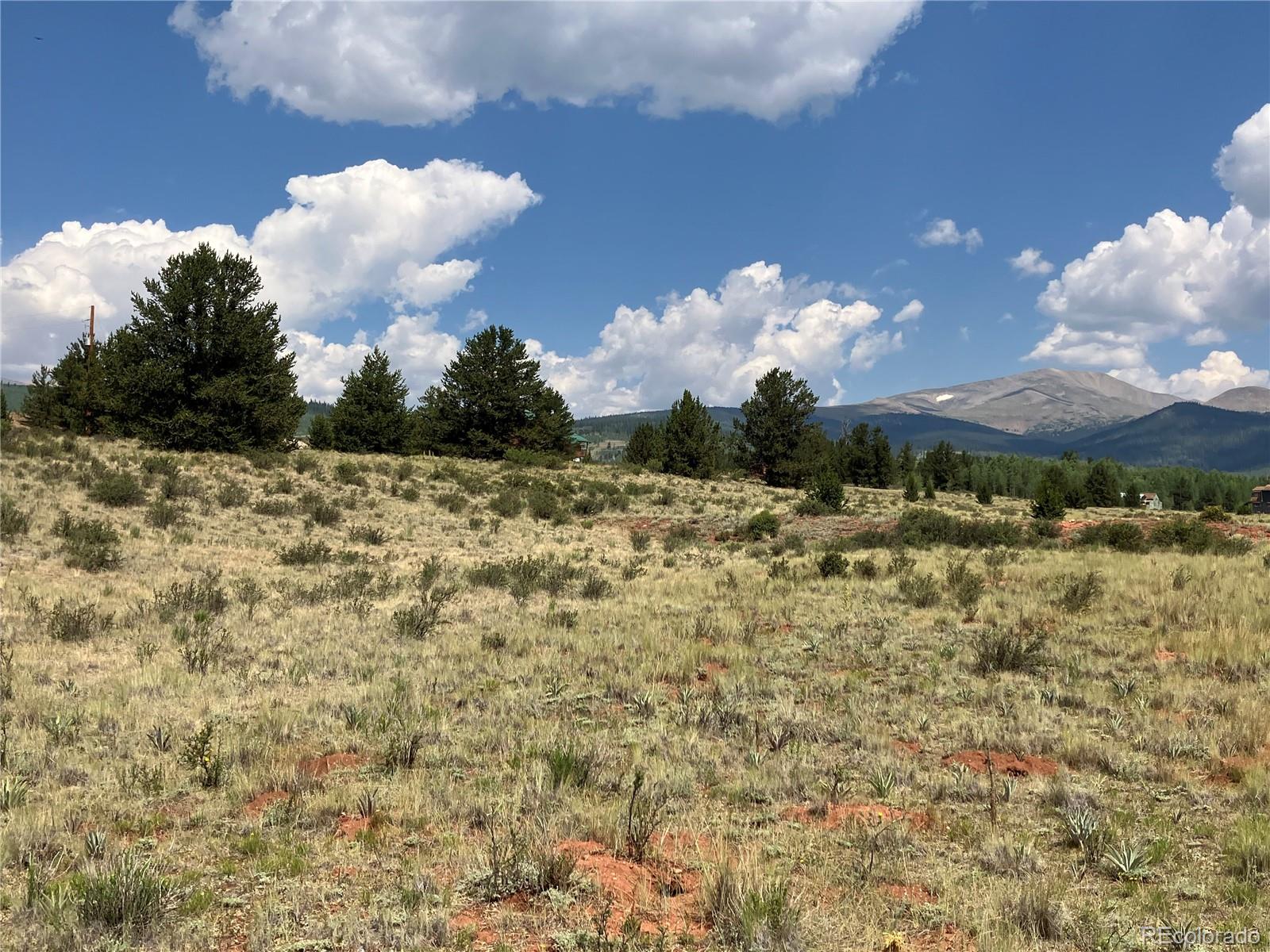 1344 Silverheels Road Fairplay CO 80440